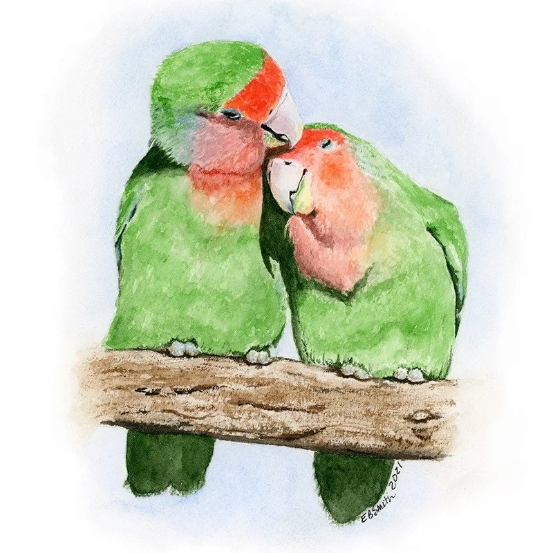 Happy Valentine's Day, my friends! However you share this day... with a spouse, friends, family, pets, or even a good book... may you feel loved and valued. 

#happyvalentinesday #valentinesday #lovebirds #natureinspiredart #birdartwork