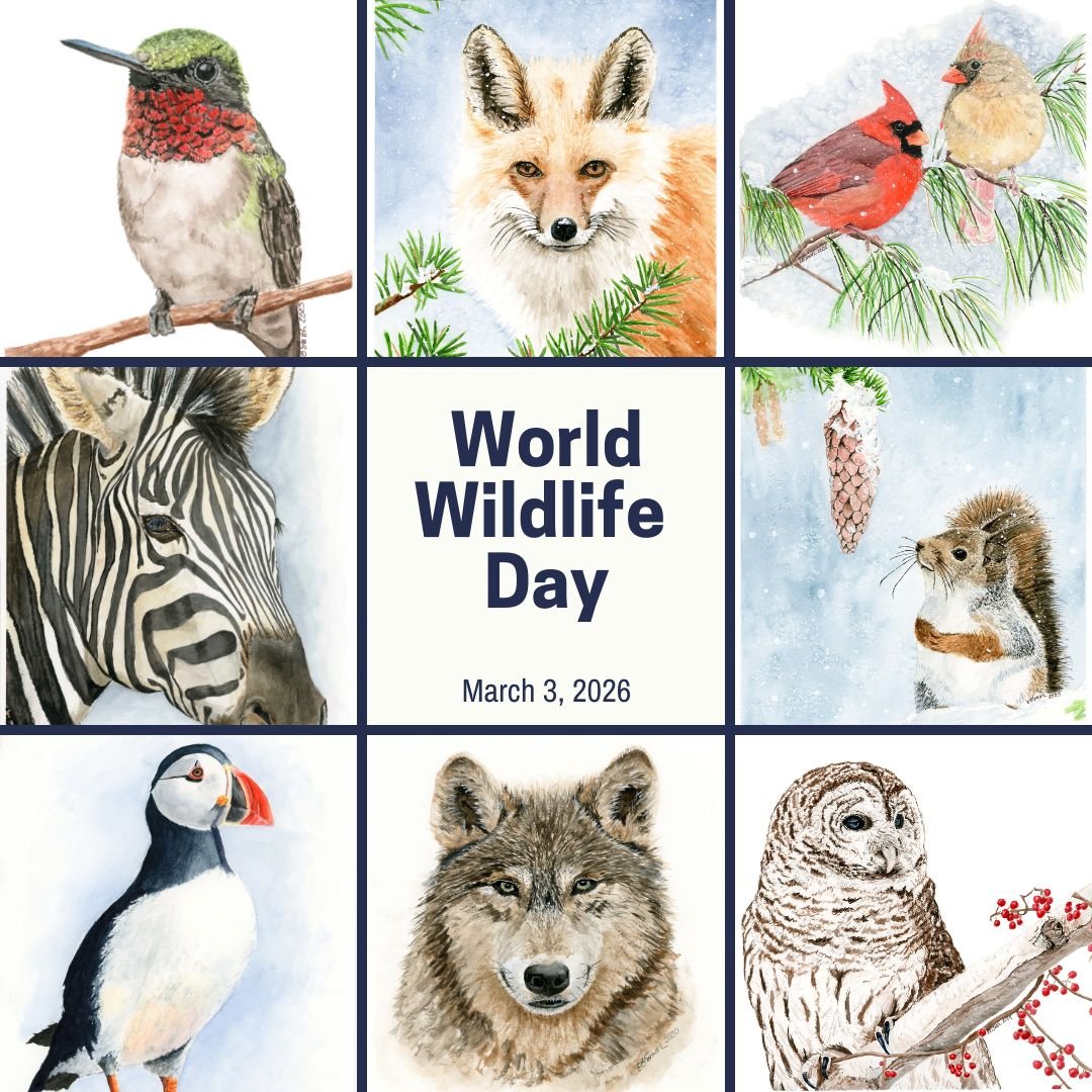 Celebrating World Wildlife Day today in hopes that we'll recognize the importance of caring for our planet's amazing wildlife and appreciating the contributions they provide to our natural world.

#worldwildlifeday #wildlifeart #natureinspiredart