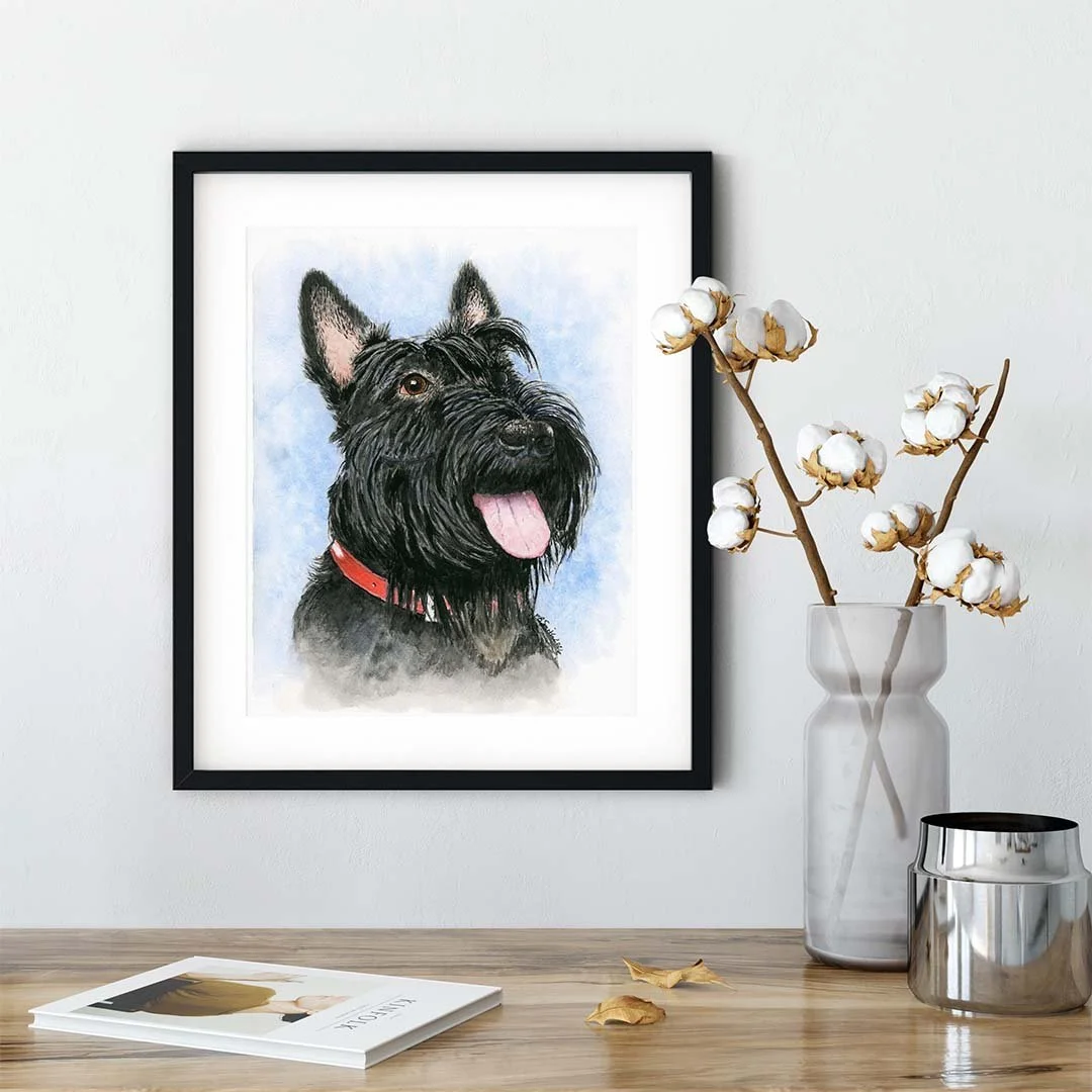 The Scottish Terrier watercolor painting is complete AND available on the website as a fine art print and a greeting card. For the Scotty lovers out there, this print will bring life and spunk to your walls, and the greeting card will spread that Sco