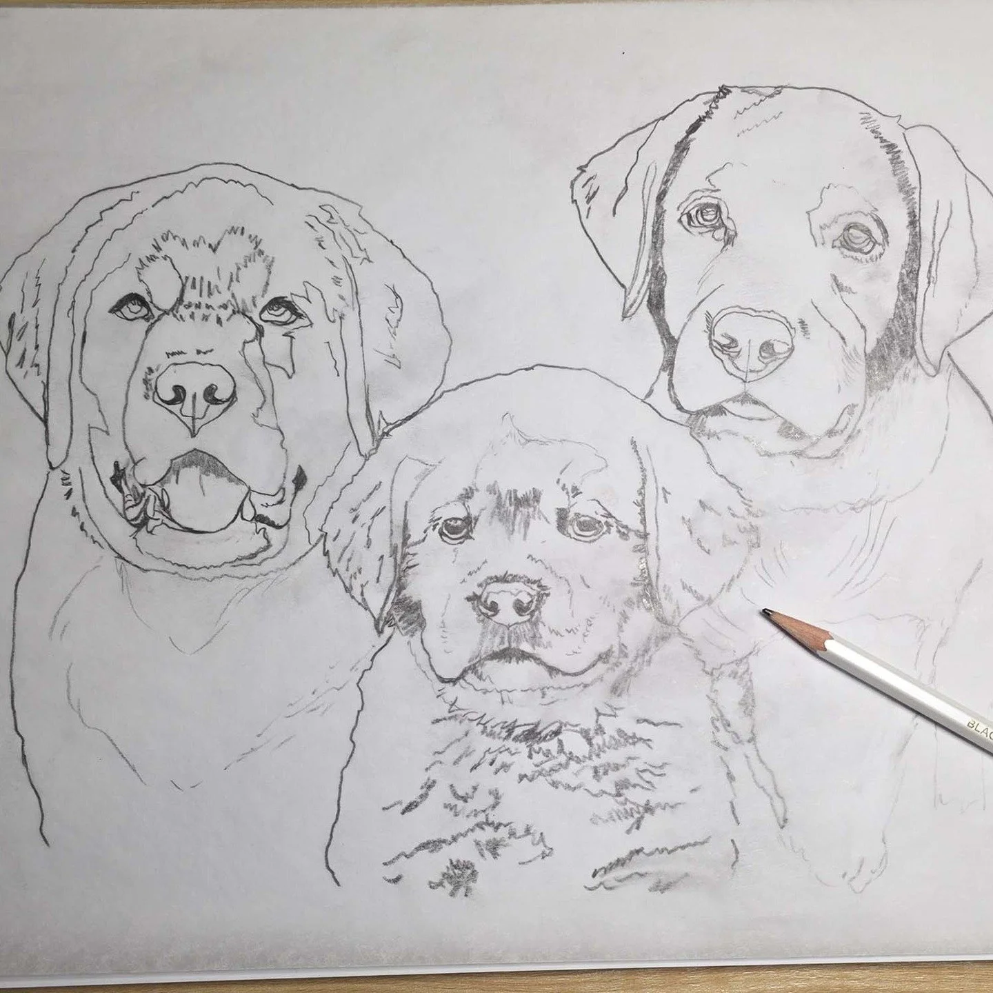 The exciting project I referenced yesterday is in the works. Here's the info... I'm creating an 11x14 watercolor painting to support my chosen non-profit for 2026, @project2heal, as part of my "business with a purpose" effort. Not only am I