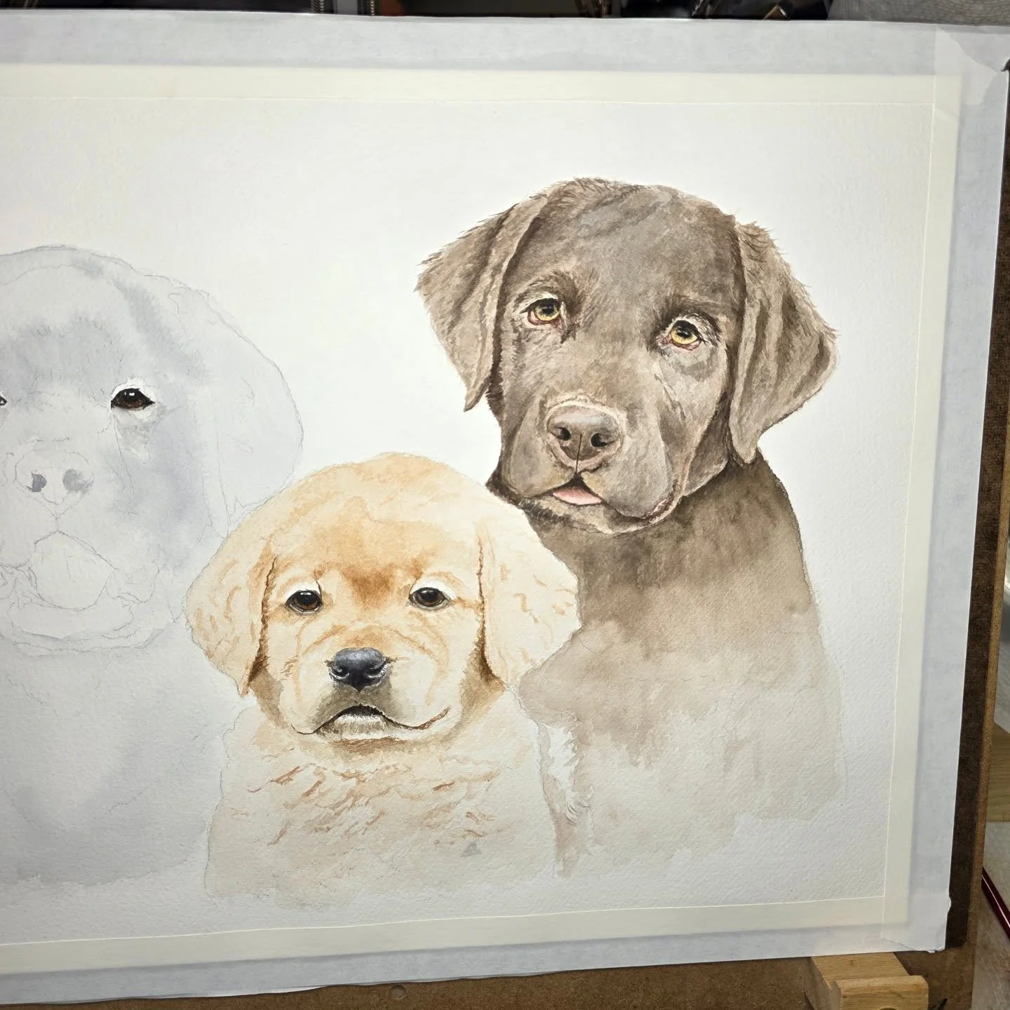 Progress continues! The middle pup is coming to life now. Look at that precious face!! I'm just so honored to be painting these 3 pupparoos who represent the amazing work that @project2heal is doing in transforming lives with service dogs. What a joy