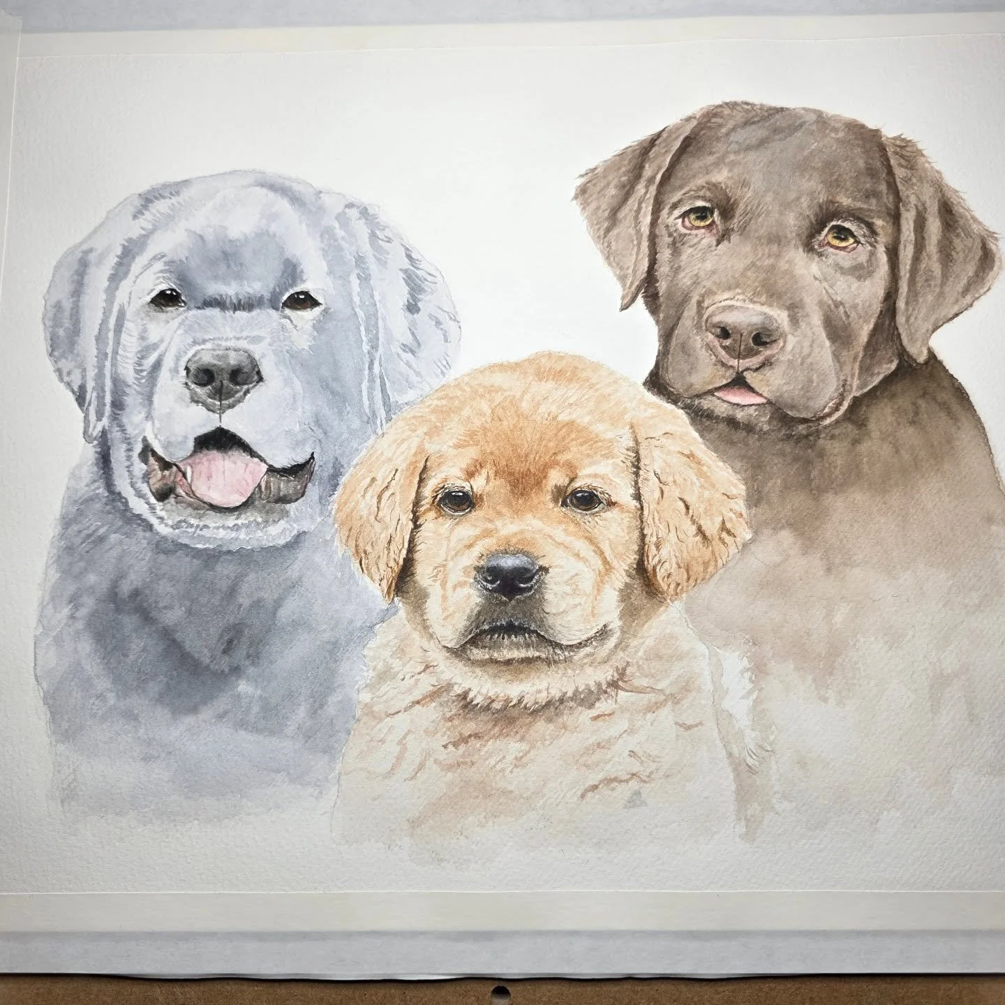 The middle pup has come to life, and the 3rd pup, the Black Lab, is beginning to take shape. I've completed the color blocking... mapping out where the darker colors will be. Now to build the layers and darken that gorgeous black  coat. Yes, the bloc