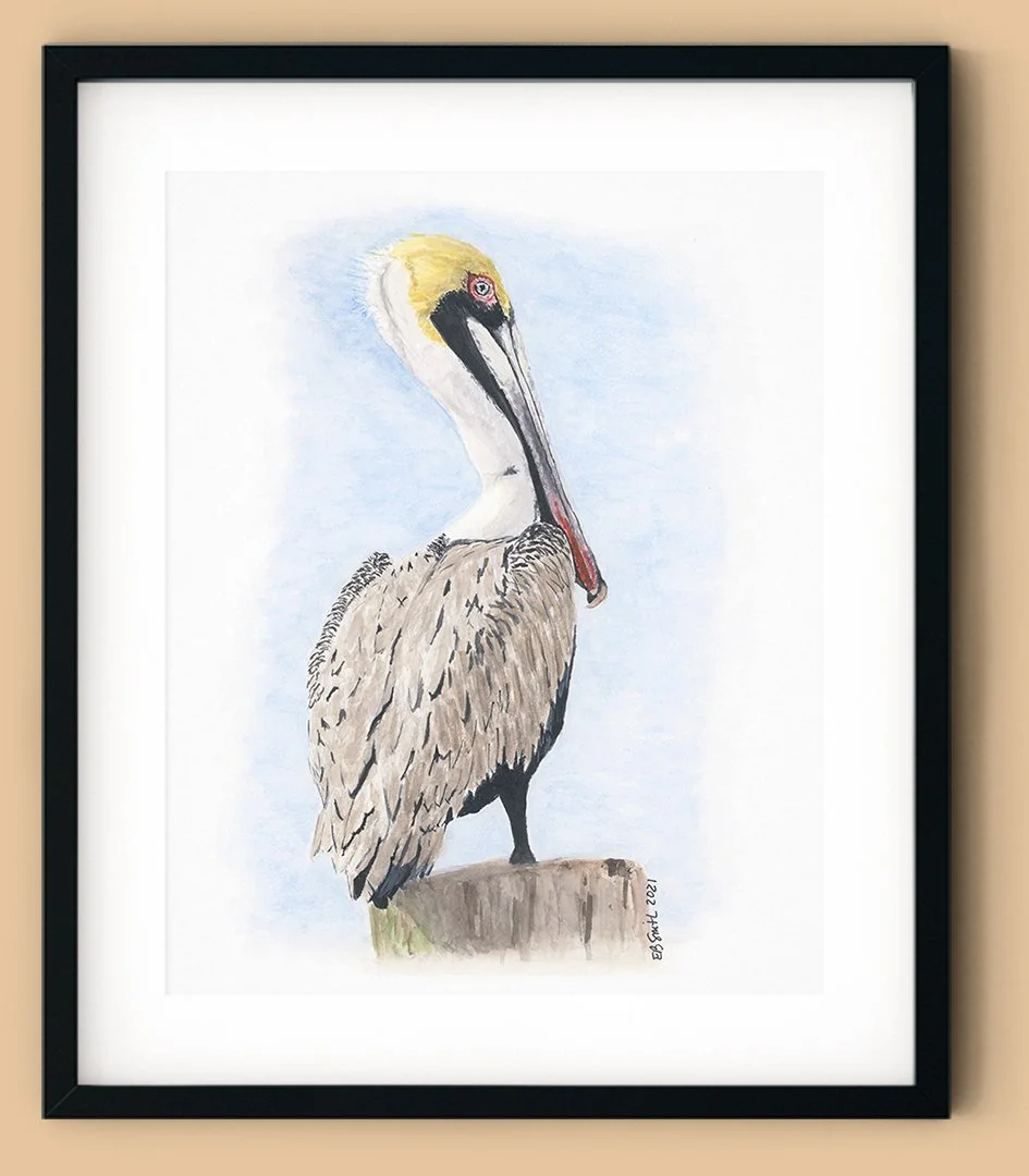I painted this pelican to remind me of one of my family's happy places... Hilton Head Island, SC. We love to watch the pelicans fly by the condo as they make their rounds or dive in the water hoping to catch a meal as we're enjoying the beach. And th
