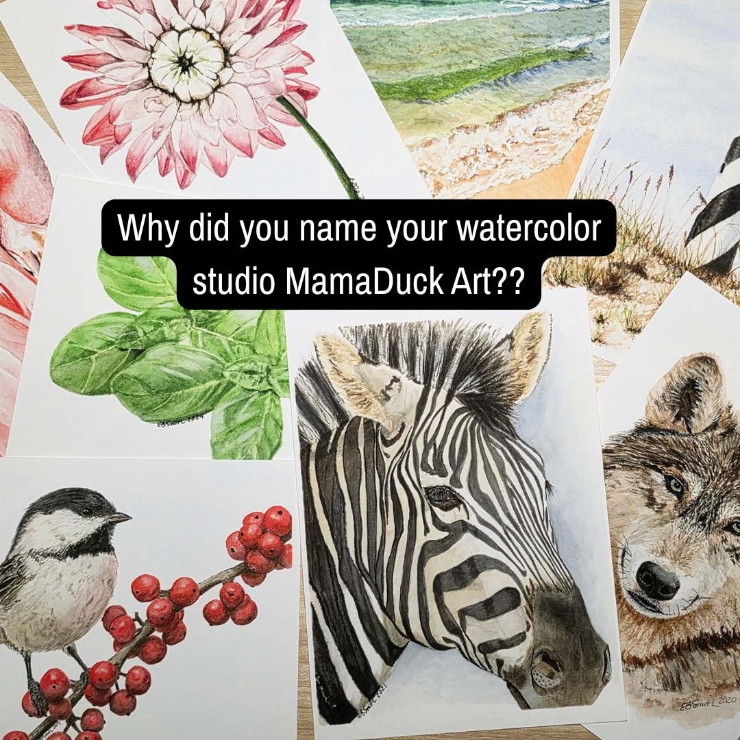 As we continue the 5-YEAR ANNIVERSARY CELEBRATION (and don't forget the 25% off sale going on now), let me share the story of how my watercolor studio was named MamaDuck Art...

#behindthescenes #artistlife #heresthewhy #lookingbackmovingoforward