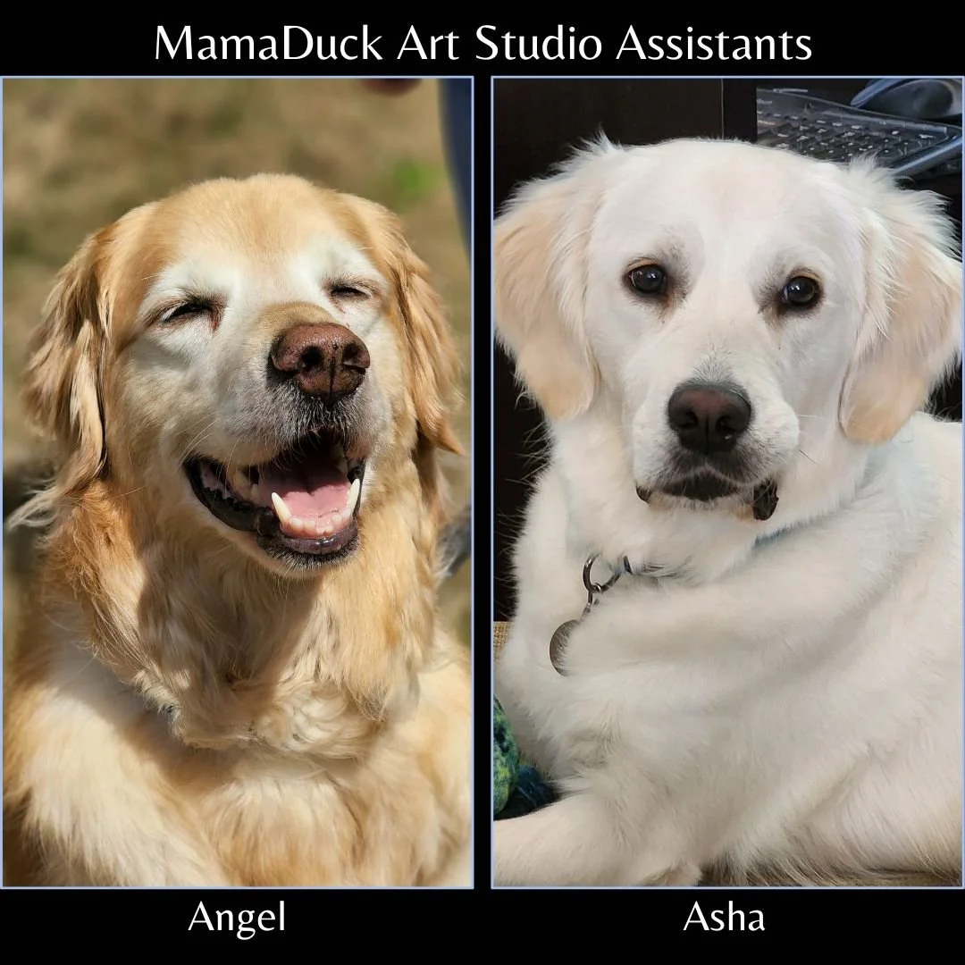As the 5-YEAR ANNIVERSARY CELEBRATION continues, let's take a moment to shine a light on the FluffyDucks of MamaDuck Art... the 4-legged studio assistants. The adventure of MamaDuck Art began with Angel (a blond Golden Retriever), the first studio as