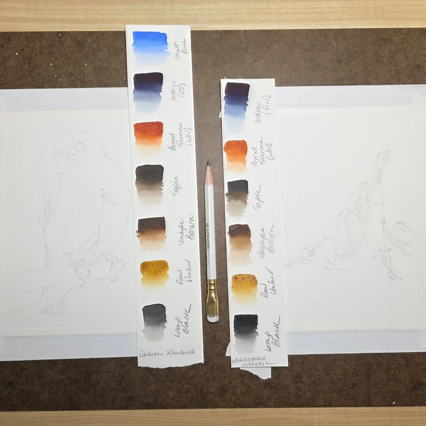Not 1 but 2 birds are on the easel today!! Both use the same paint colors but are quite different. Let's see how this goes!

#birdart #watercolorbird #natureinspiredart #workinprogressart #inthestudio