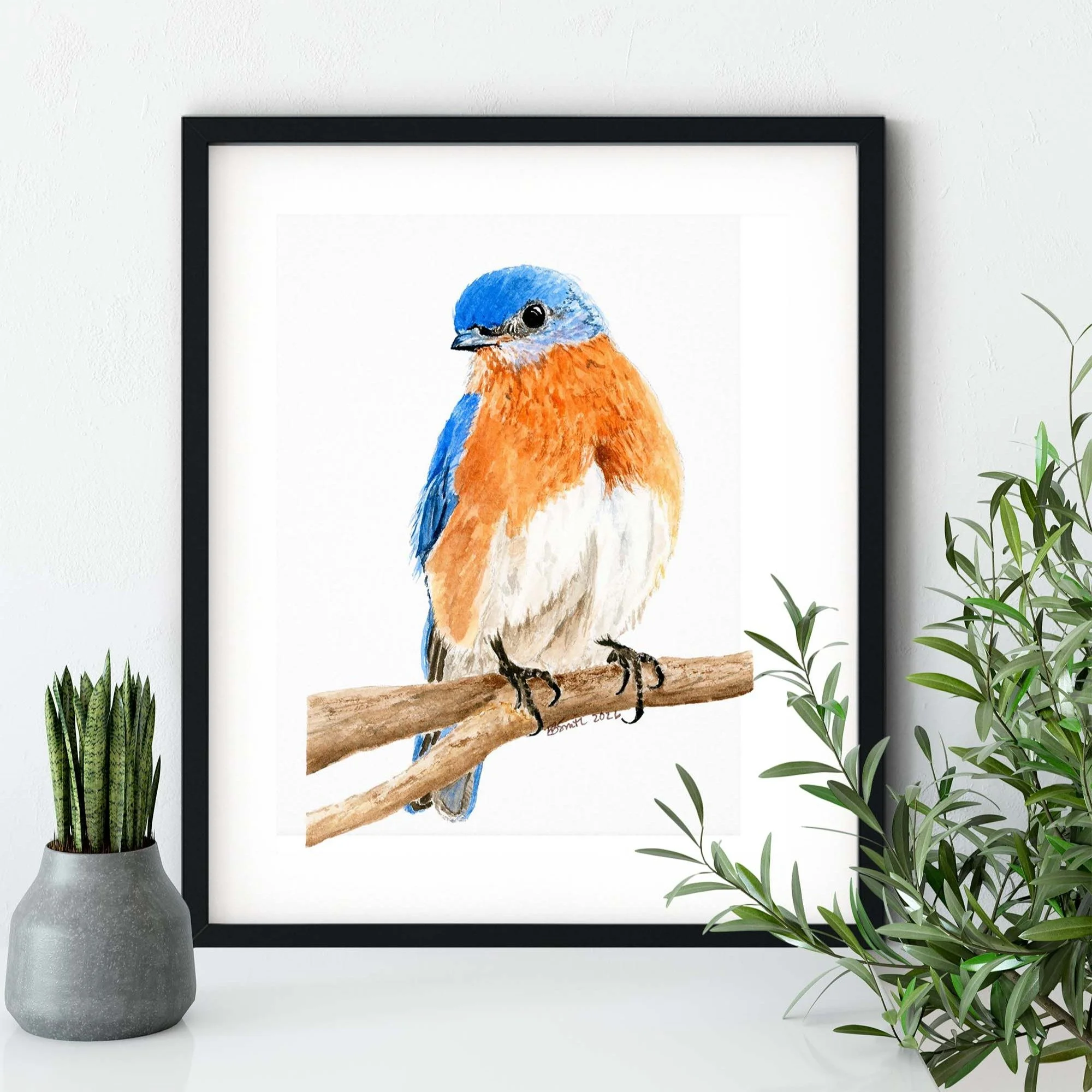For my bird and nature lovers, fine art prints of this Eastern Bluebird are now available in the Shop on the MamaDuck Art website!! The blue and orange-rust complimentary colors are stunning and will add a gorgeous spark of colorful beauty to your ho