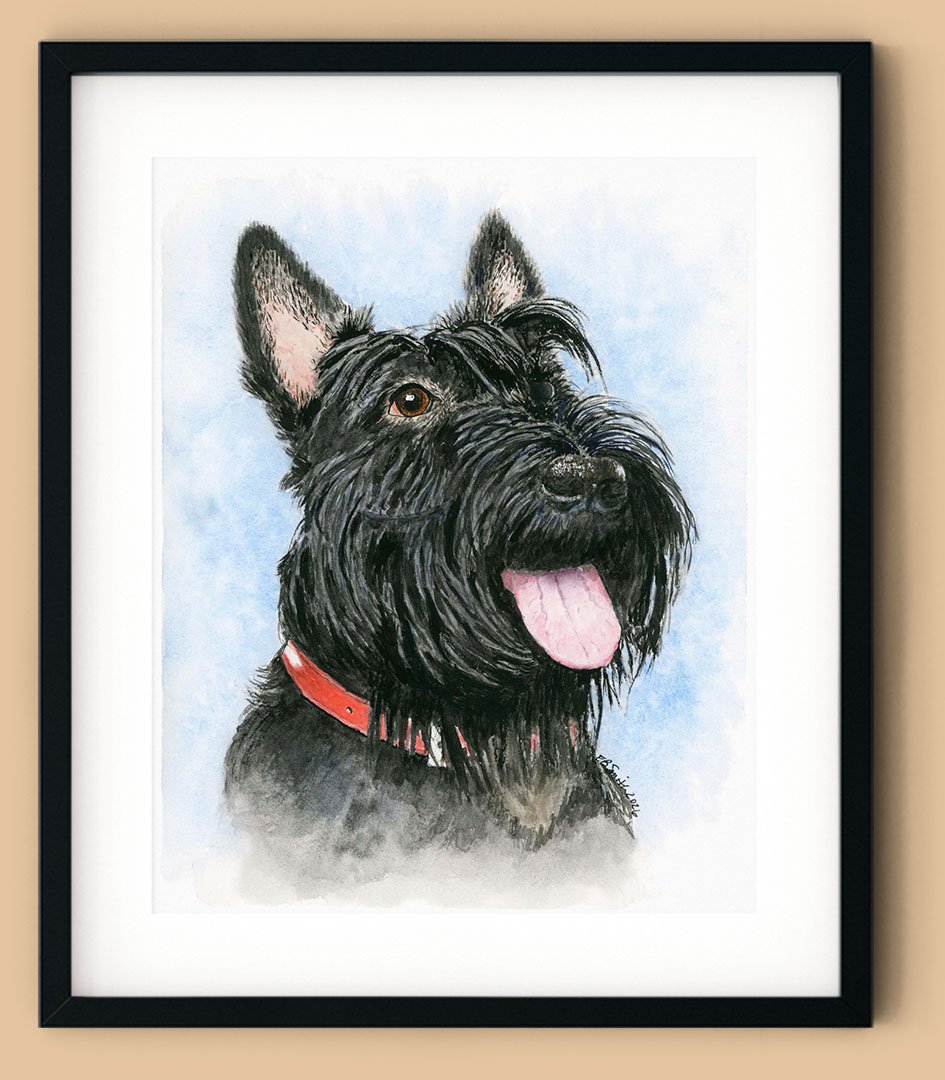 "Scottish Terrier" - a vertical watercolor print