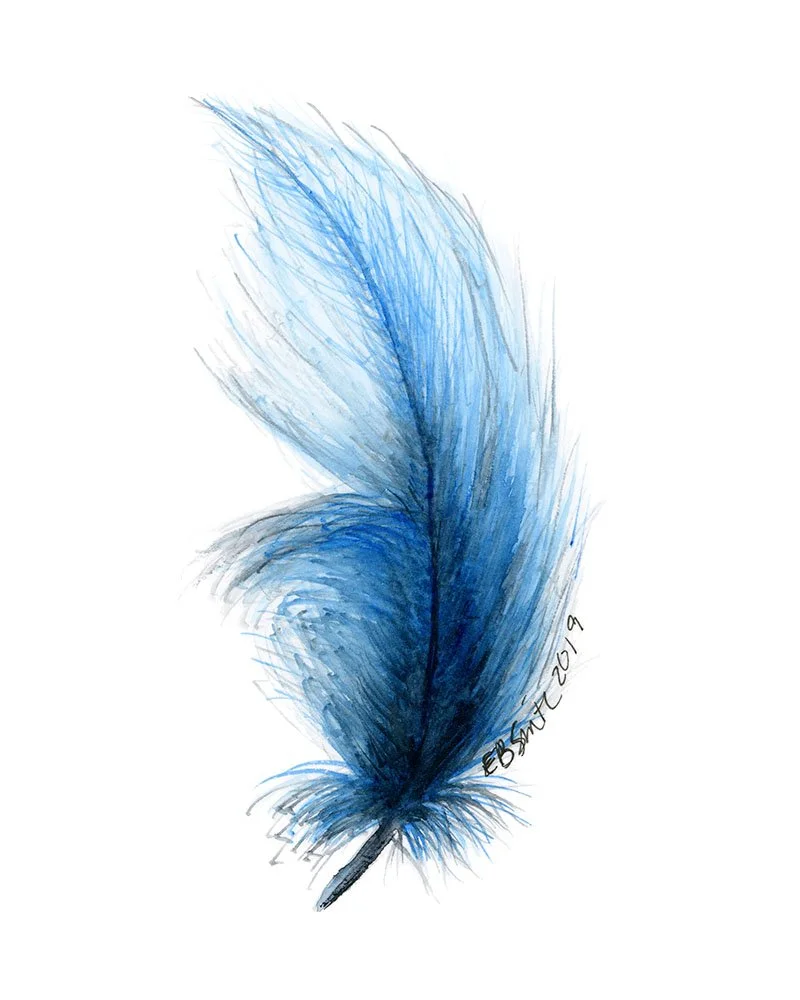 Feather1-Blue-MamaDuck-Art-Beth-Smith.jpg