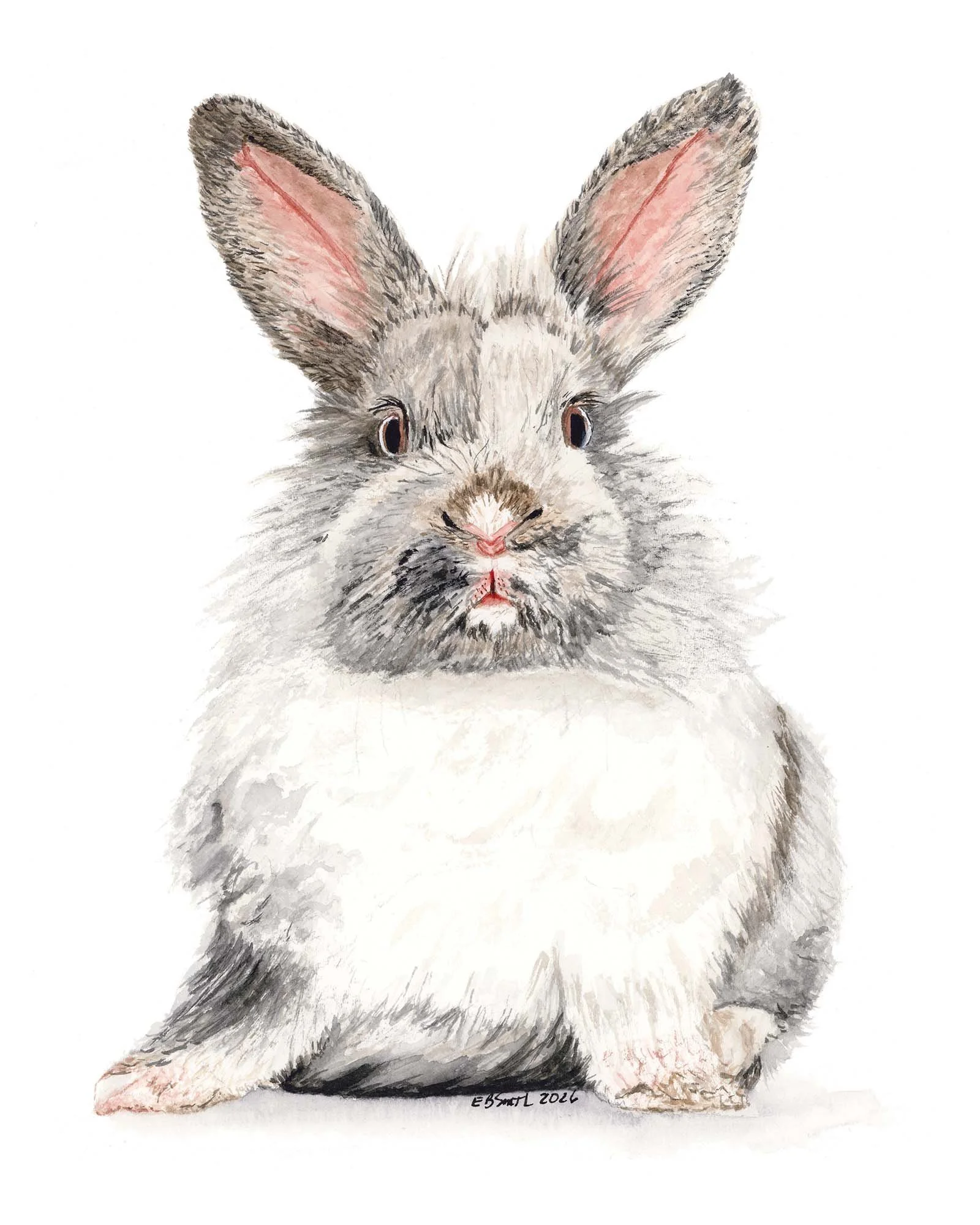 Watercolor-Bunny-MamaDuck-Art-Beth-Smith.jpg