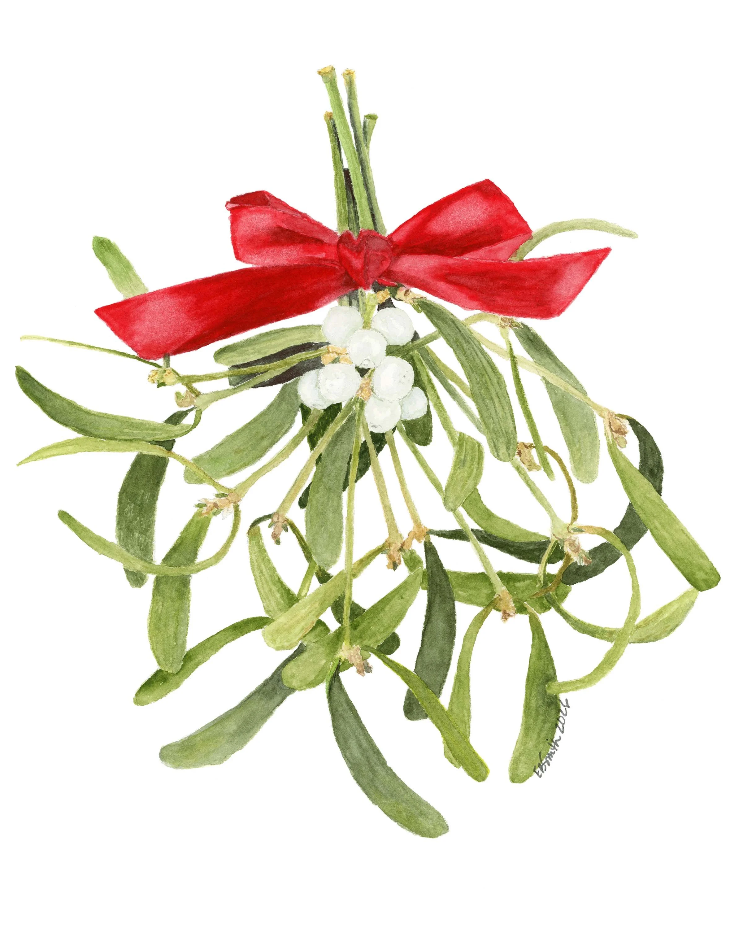 Watercolor-Mistletoe-White-Berries-Red-Bow-MamaDuck-Art-Beth-Smith.jpg