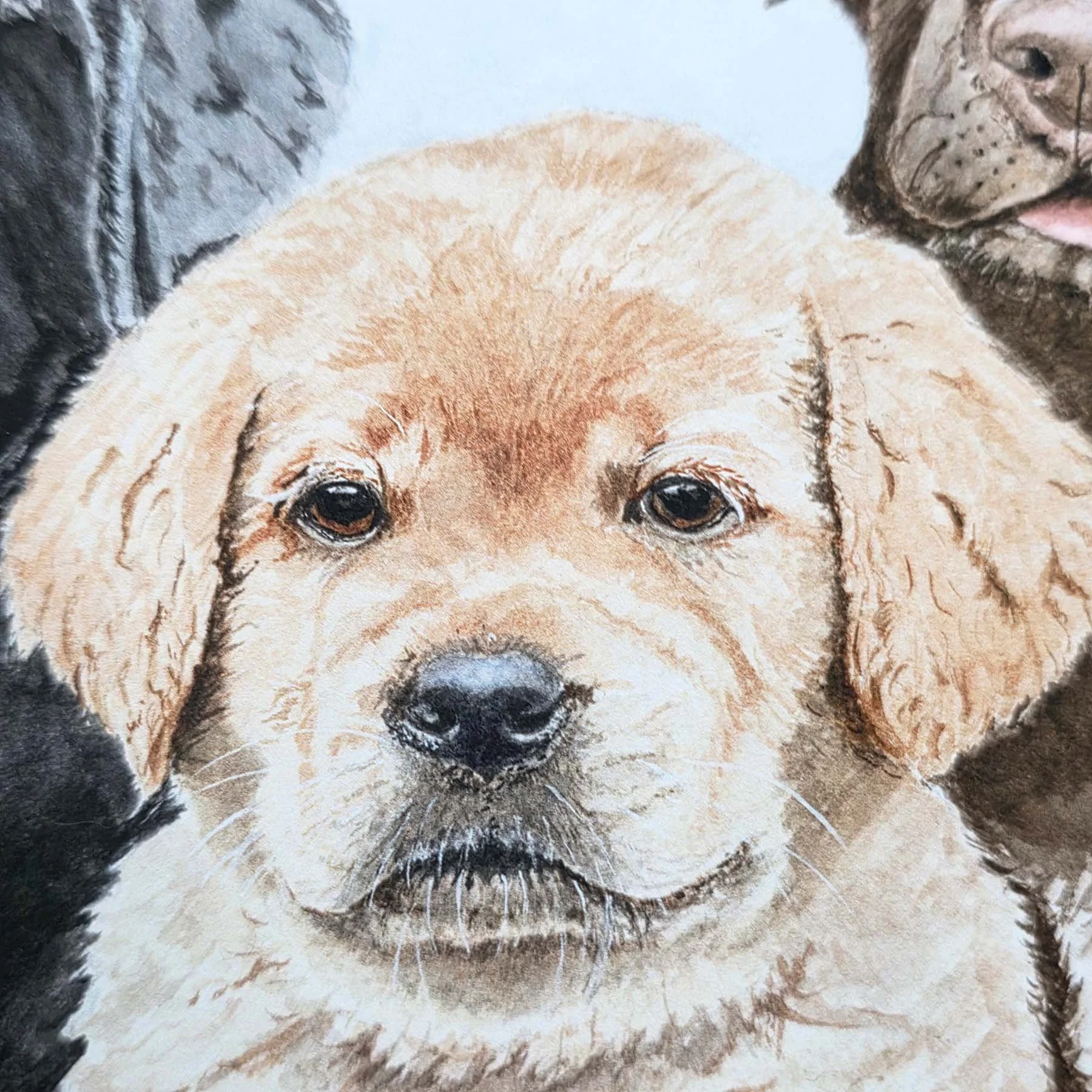 Watercolor-Labrador-Retriever-Yellow-Puppy-Closeup-MamaDuck-Art-Beth-Smith.jpg