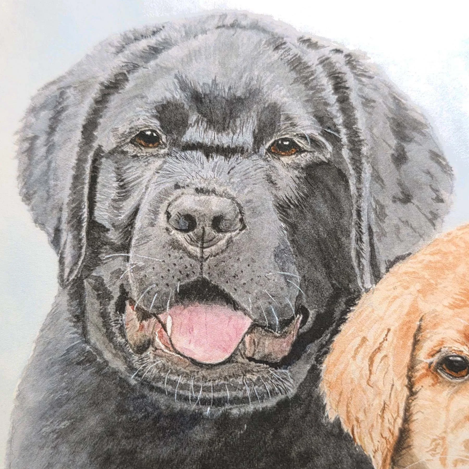 Watercolor-Labrador-Retriever-Black-Puppy-Closeup-MamaDuck-Art-Beth-Smith.jpg