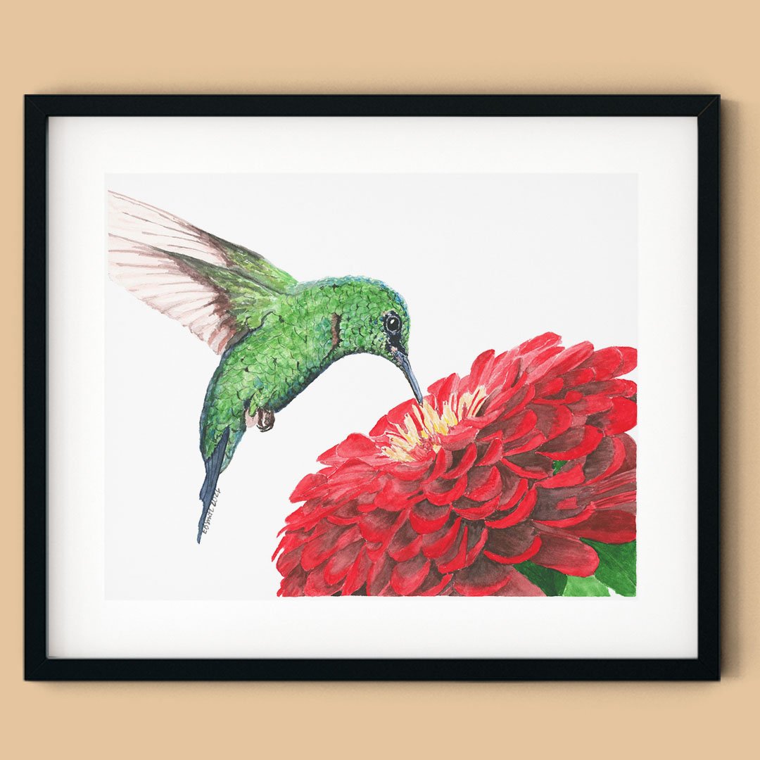 Watercolor-Hummingbird-Red-Zinnia-Flower-Black-Frame-MamaDuck-Art-Beth-Smith.jpg