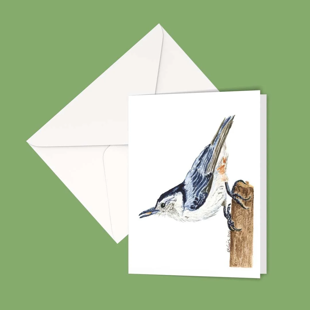 Watercolor-Whitebreasted-Nuthatch-Greeting-Card-Envelope-MamaDuck-Art-Beth-Smith.jpg