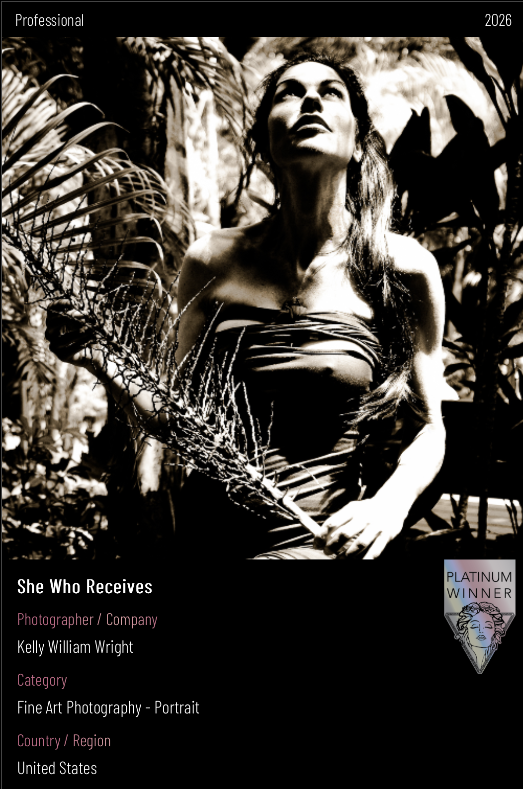 “She Who Receives” Earns Platinum Top Honors as Early MUSE Results Are Released