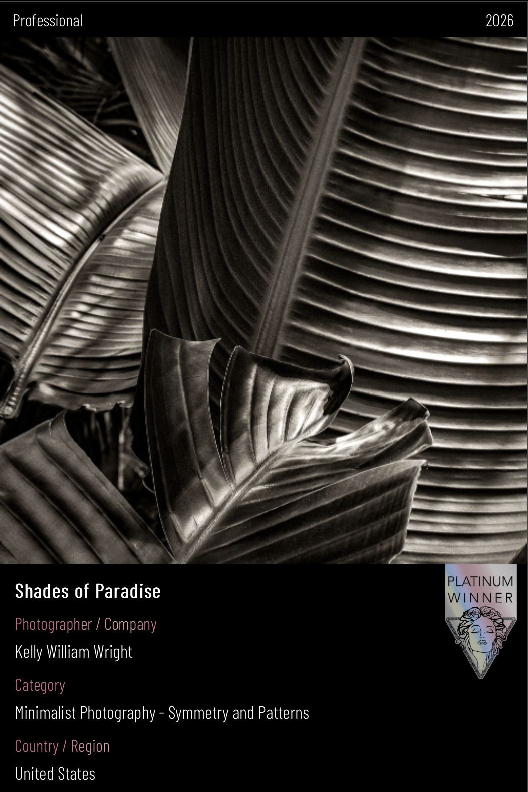 “Shades Of Paradise” Secures 4x Platinum in Commanding Early MUSE Results