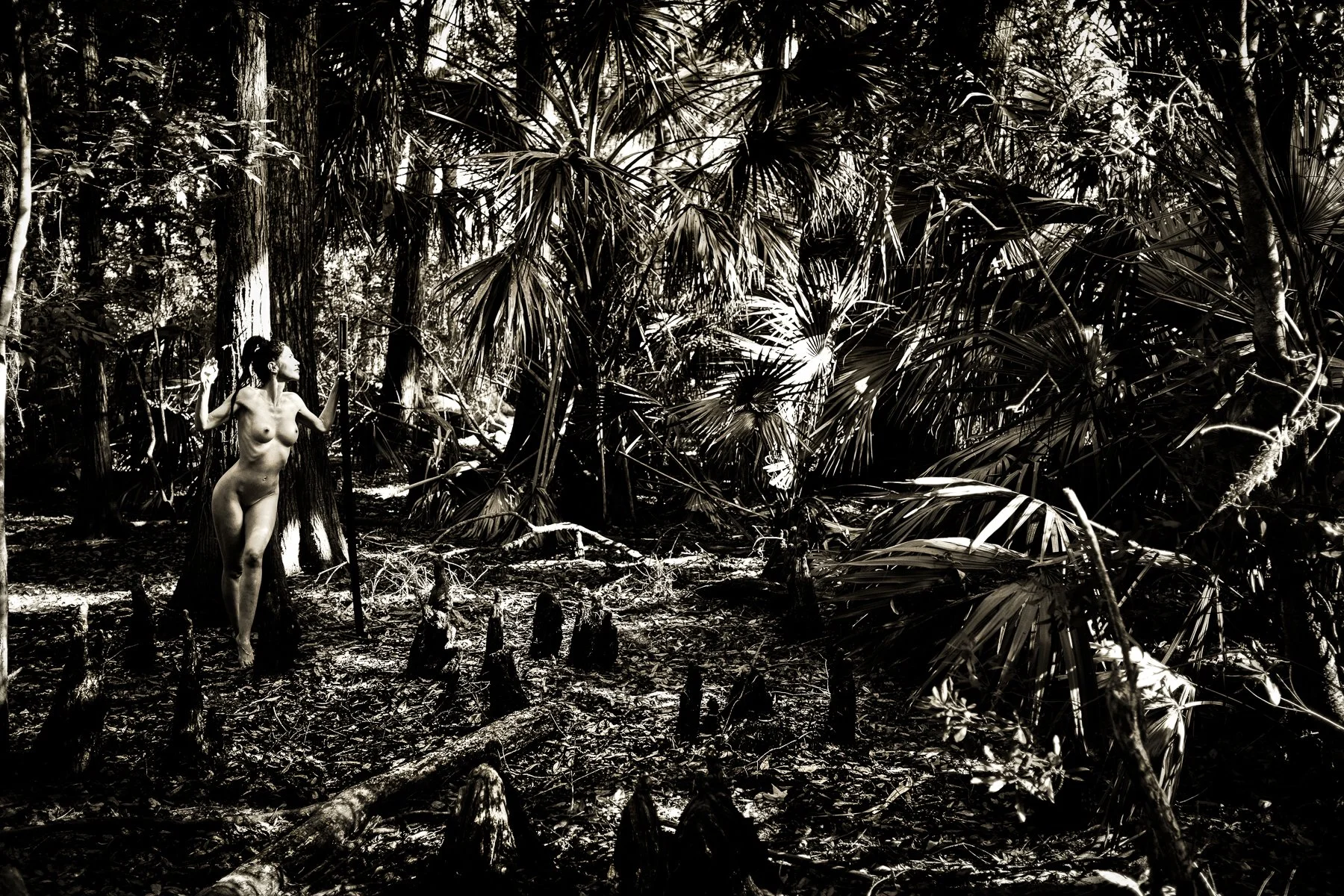 Kelly Willam Wright_Anima Sylvarum-2.jpg