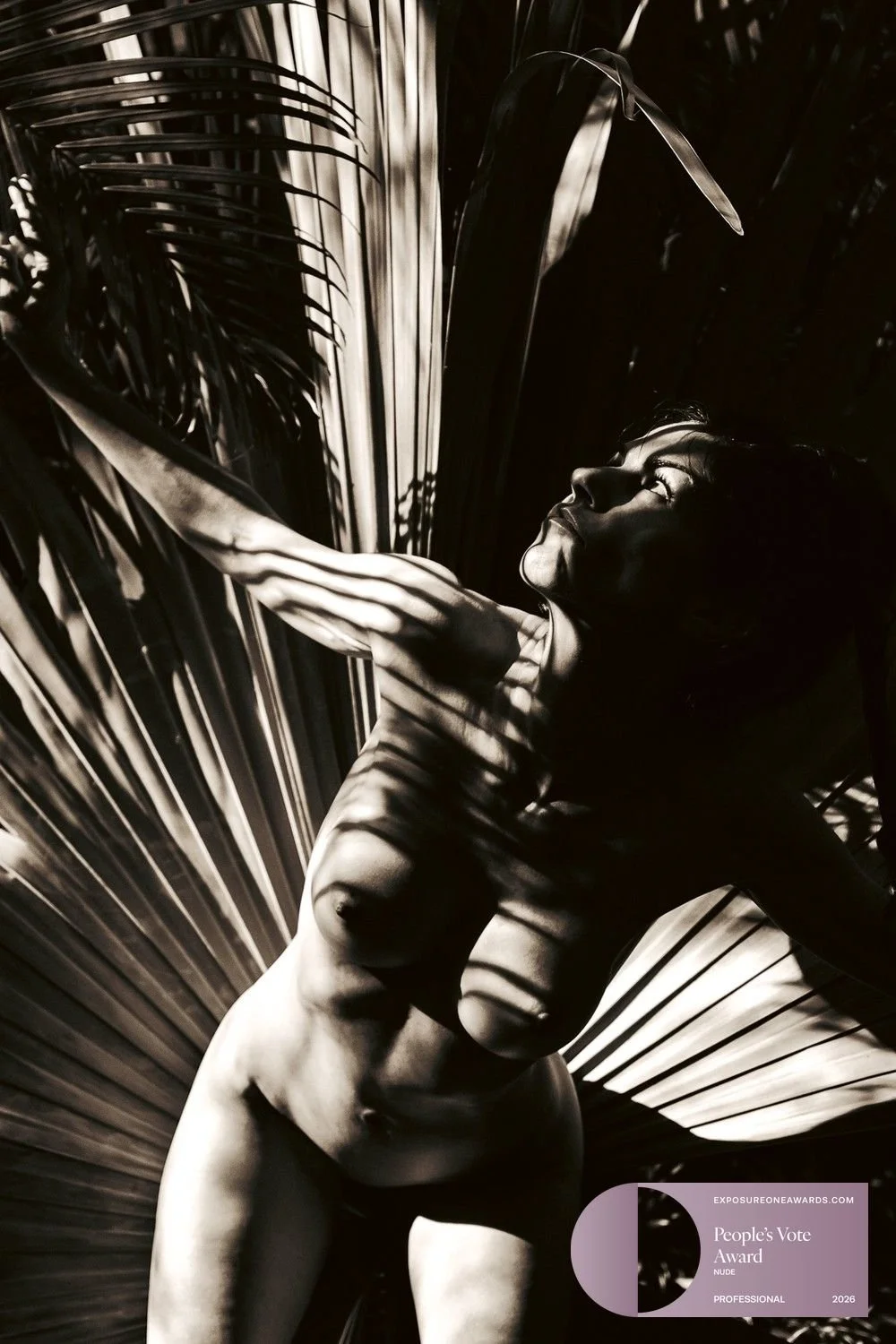 peoples-vote-award-she-who-faces-the-sun-from-solar-ascendant-badge-0.jpg