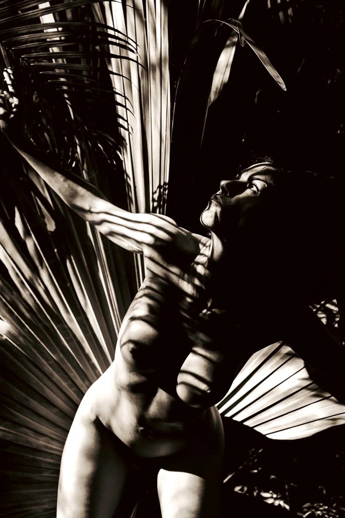 kelly-william-wright-solar-ascendant-nude-photography-12.jpg