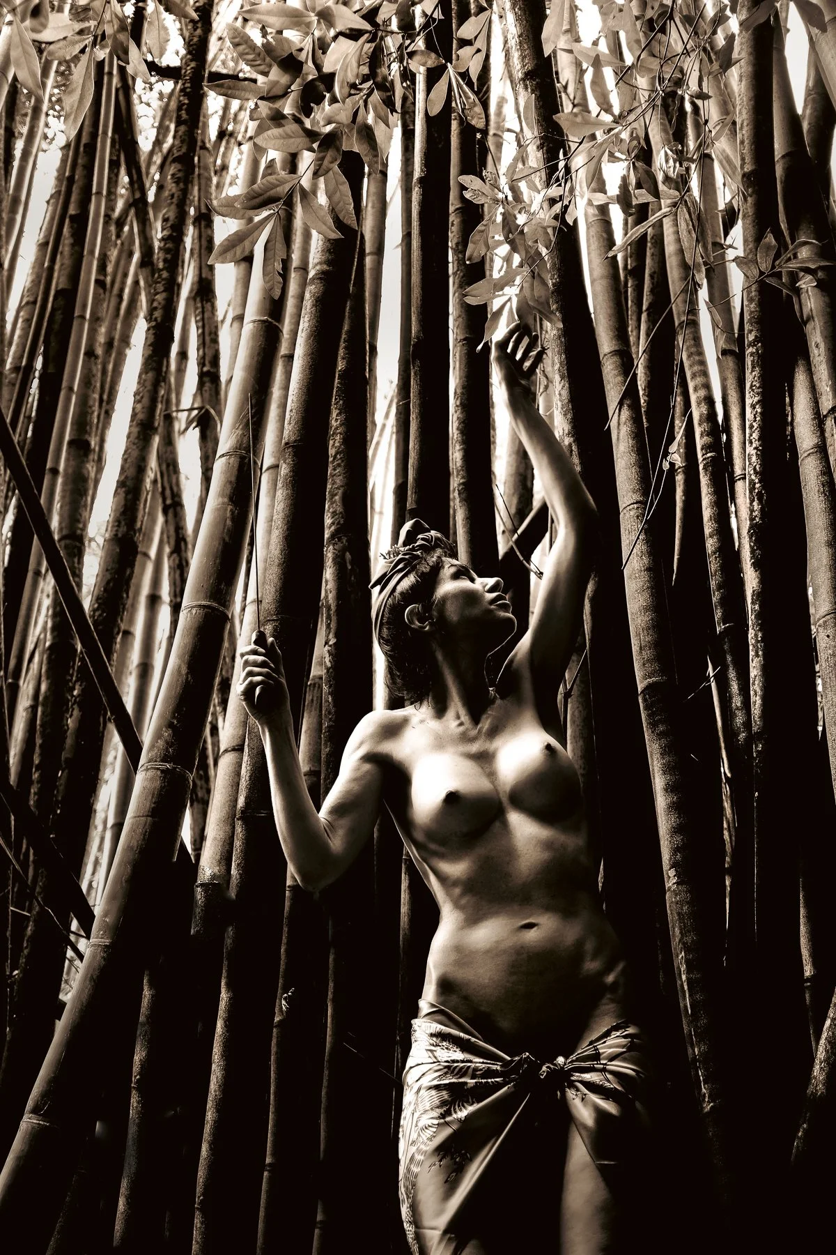 kelly-william-wright-bamboo-nude-photography-20.jpg