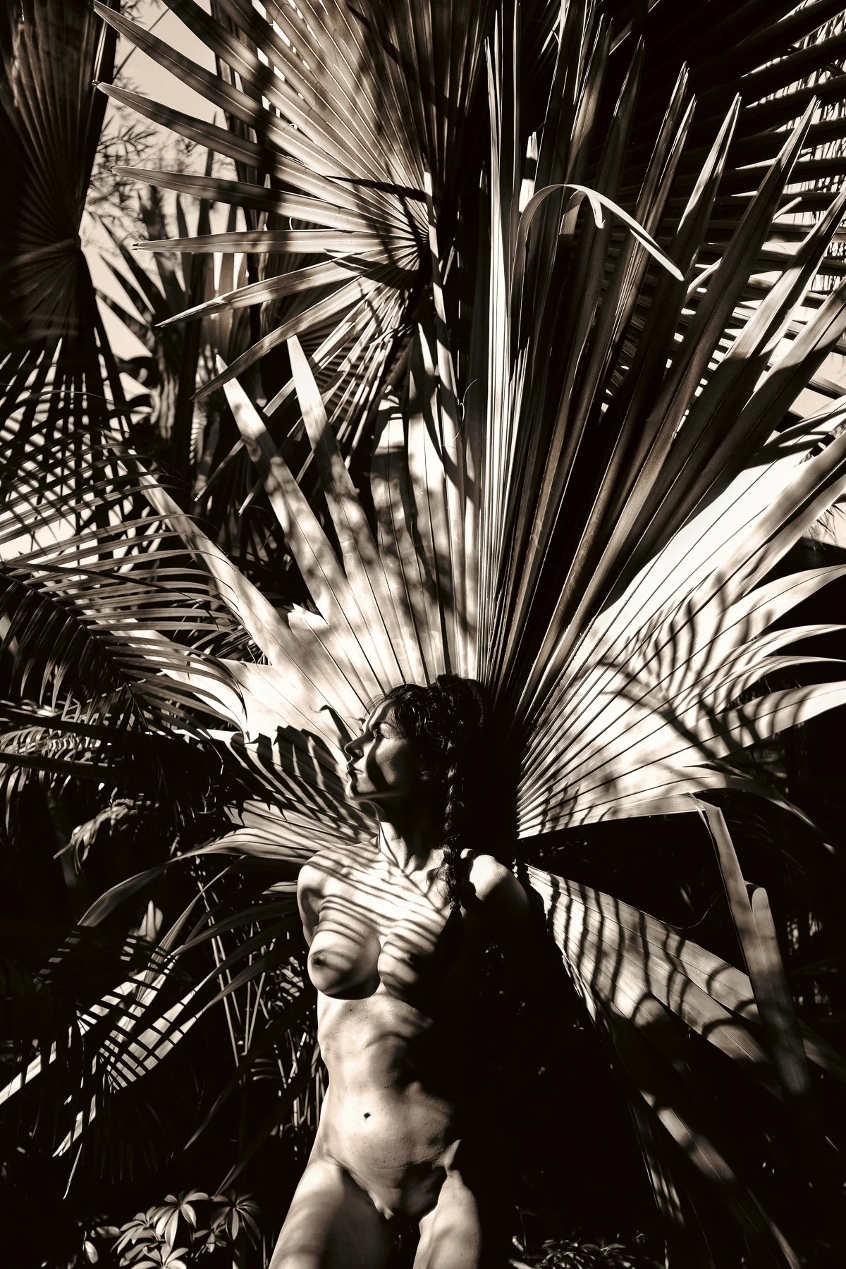 kelly-william-wright-solar-ascendant-nude-photography-24.jpg