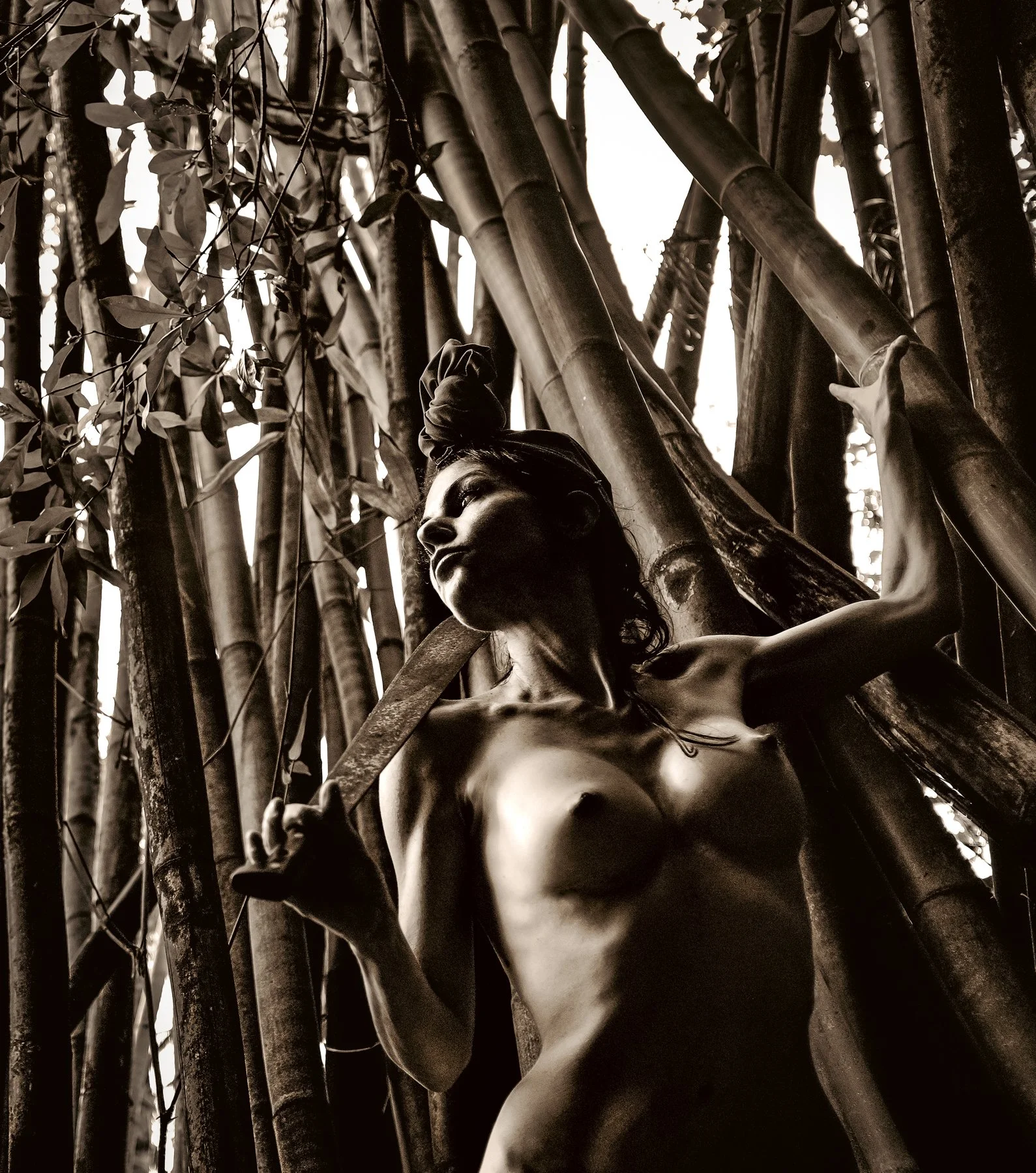 kelly-willam-wright-female-nude-bamboo-art-f15.jpg