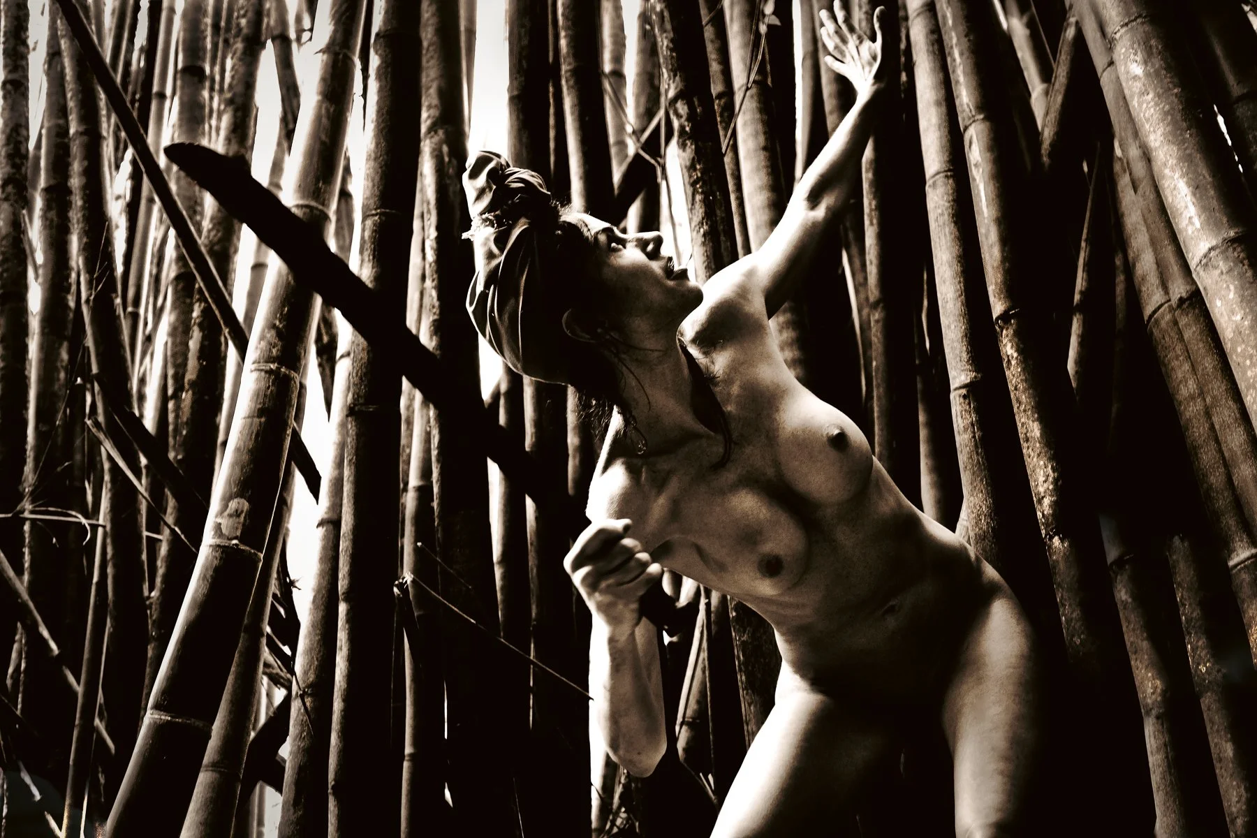 kelly-willam-wright-female-nude-bamboo-art-f14.jpg