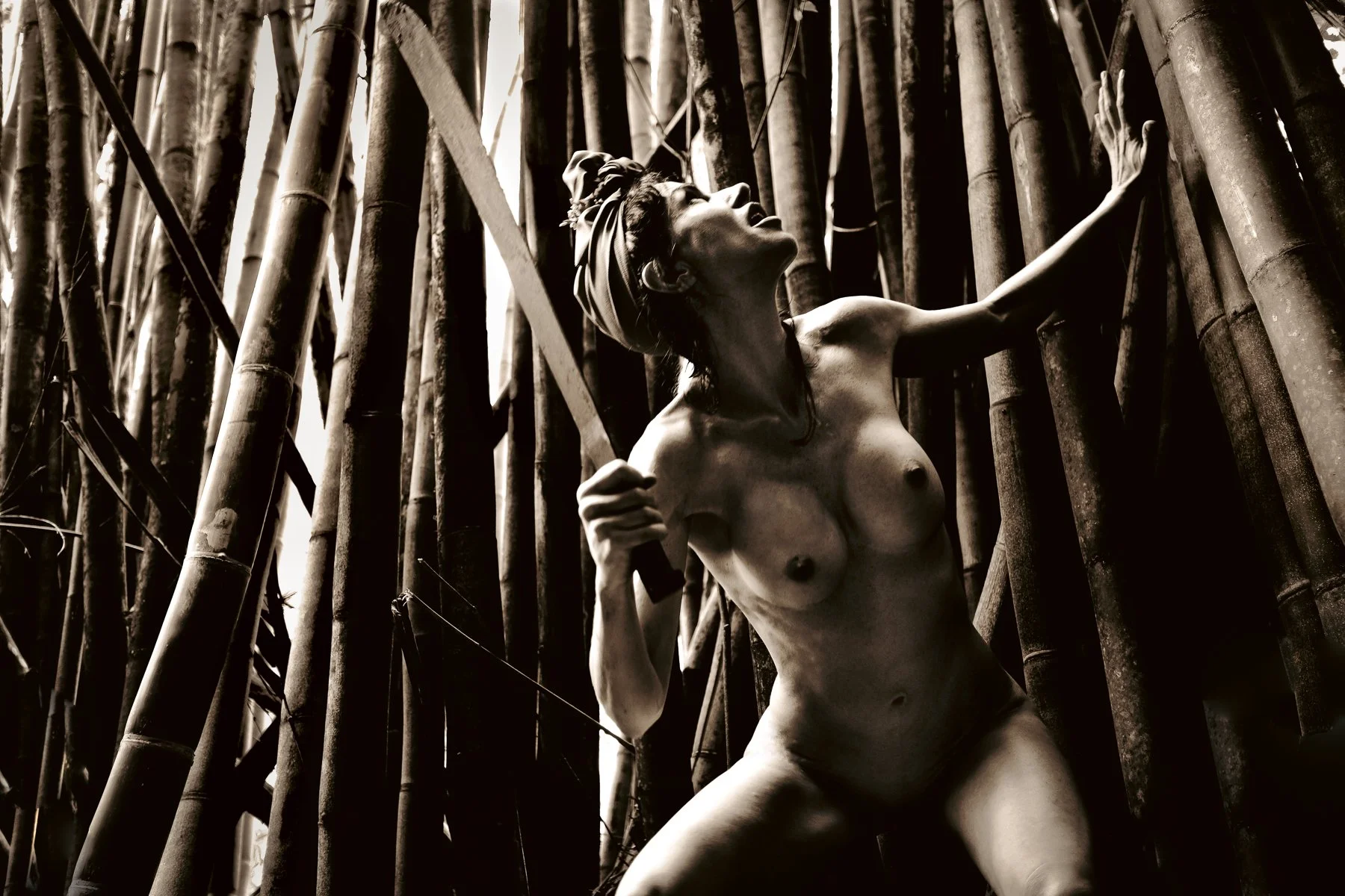 kelly-willam-wright-female-nude-bamboo-art-f13.jpg