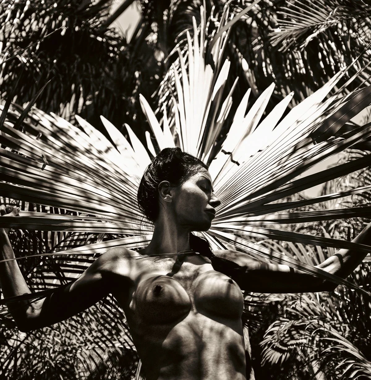 Sun Crowned Headwoman: Archival Pigment Print; 40x40 in., edition of 10 + 2 AP's; 15x15 in., edition of 15 + 3 AP's. Inquire to purchase.