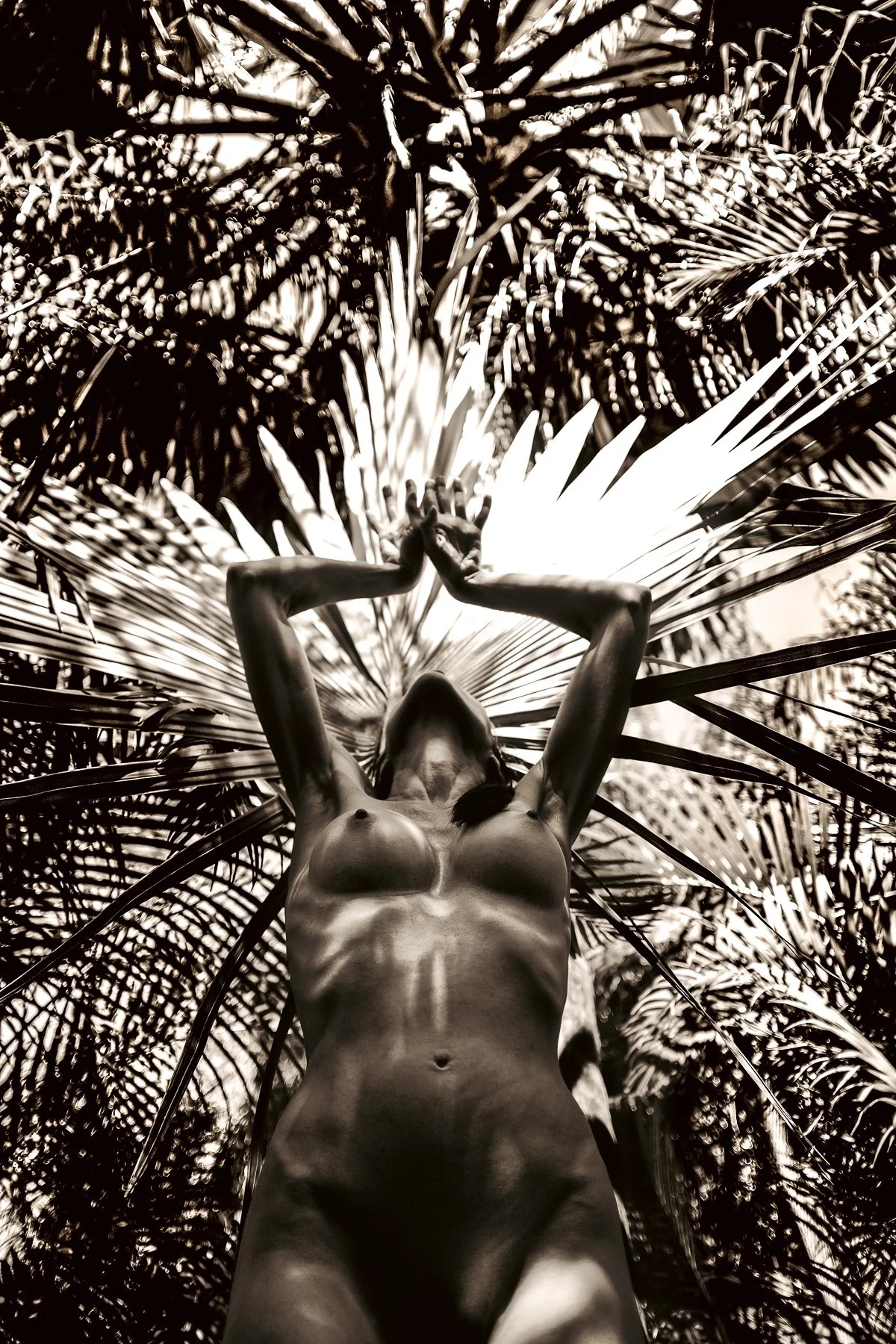 kelly-william-wright-headwoman-nude-photography-3.jpg