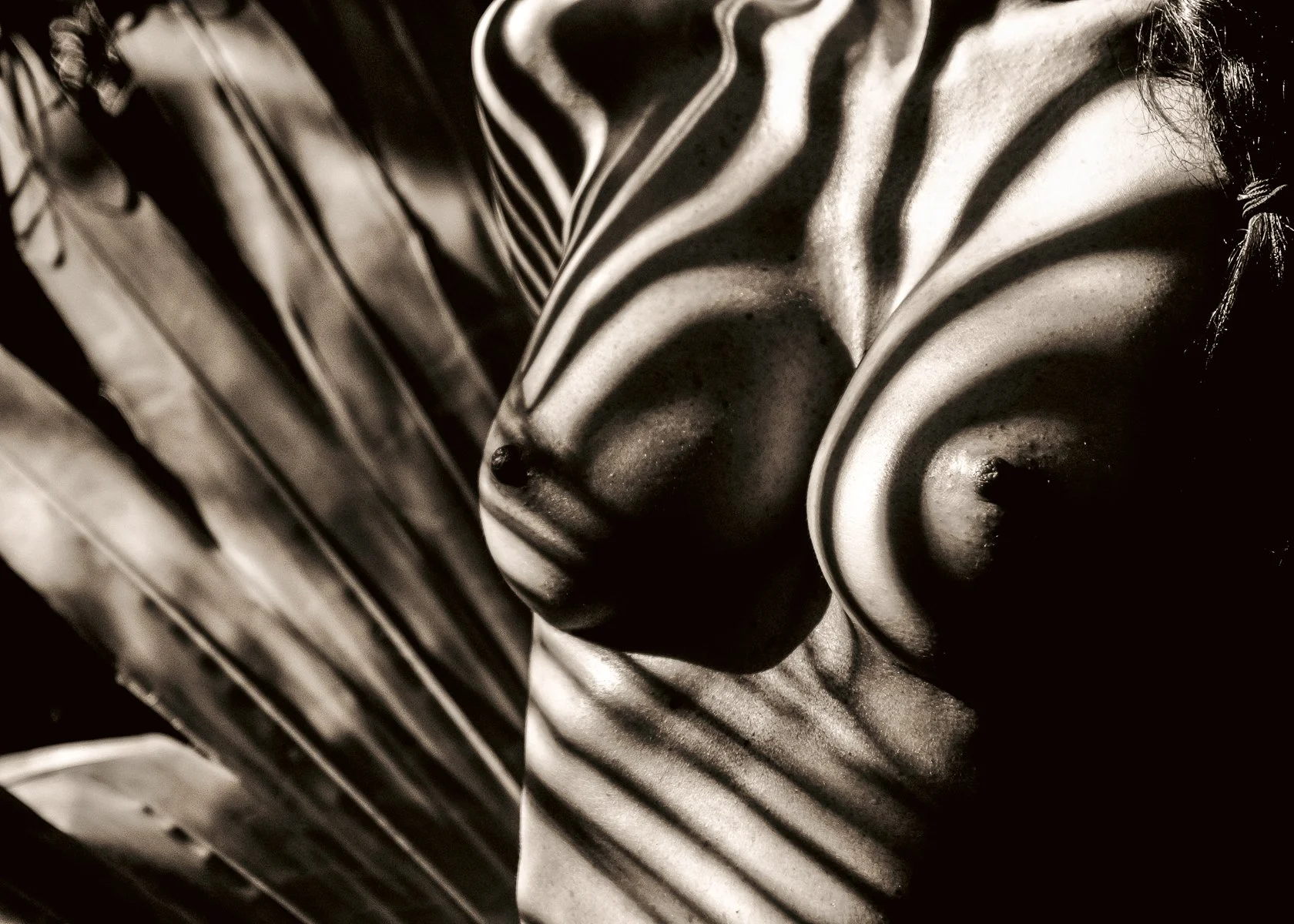kelly-william-wright-headwoman-nude-photography-17.jpg