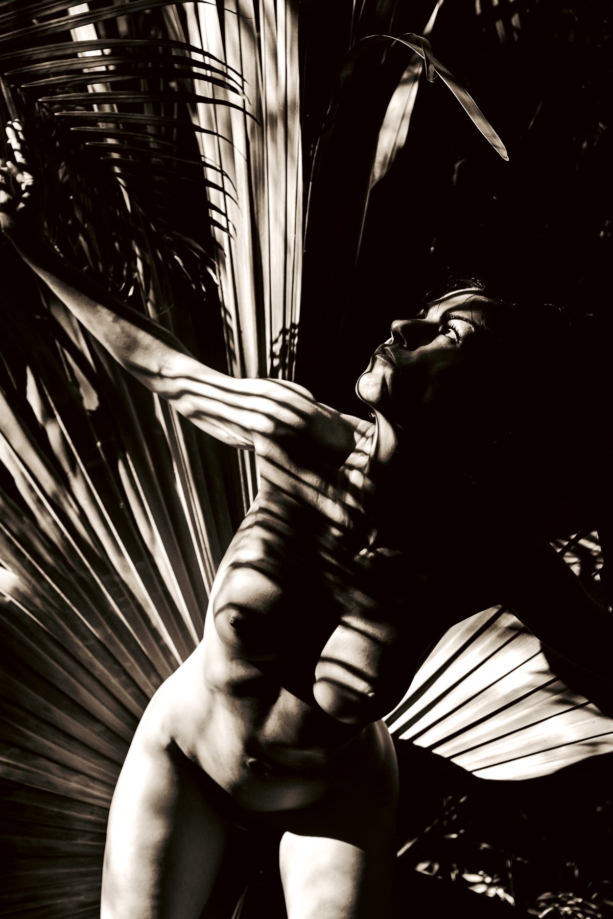 kelly-william-wright-solar-ascendant-nude-photography-12.jpg