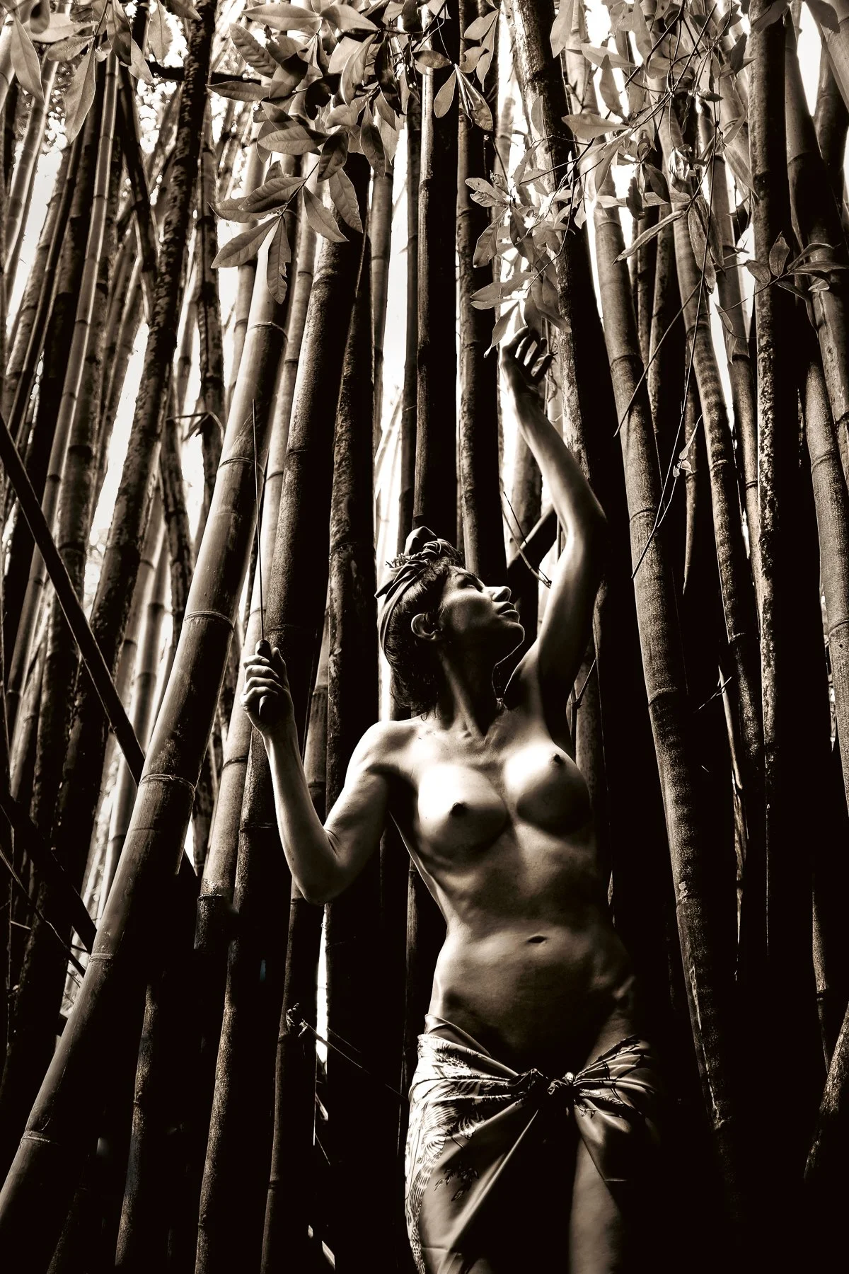 kelly-willam-wright-female-nude-bamboo-art-f12.jpg