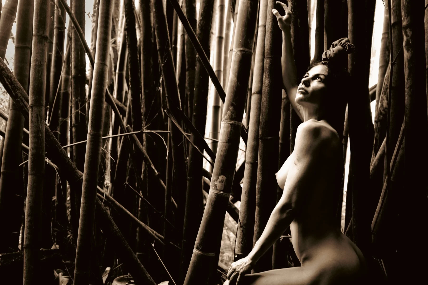 kelly-william-wright-bamboo-nude-photography-19.jpg