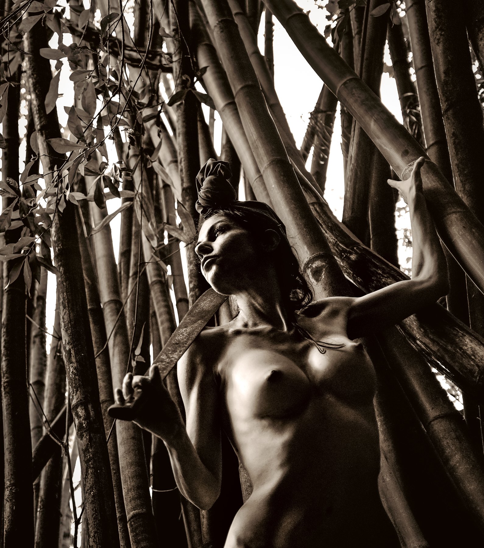 kelly-willam-wright-female-nude-bamboo-art-f15.jpg