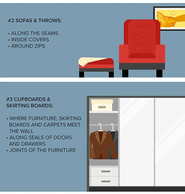 Experts Share Tips on Detecting Bed Bugs in Your Hotel Room — Bed Bugs