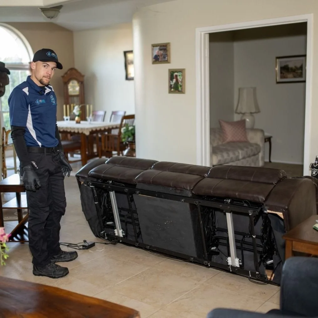 Pest control professionals are highly trained and knowledgeable about various pests, their behaviors, and effective treatment methods, staying updated on industry research and regulations to accurately identify pests and apply suitable treatments.