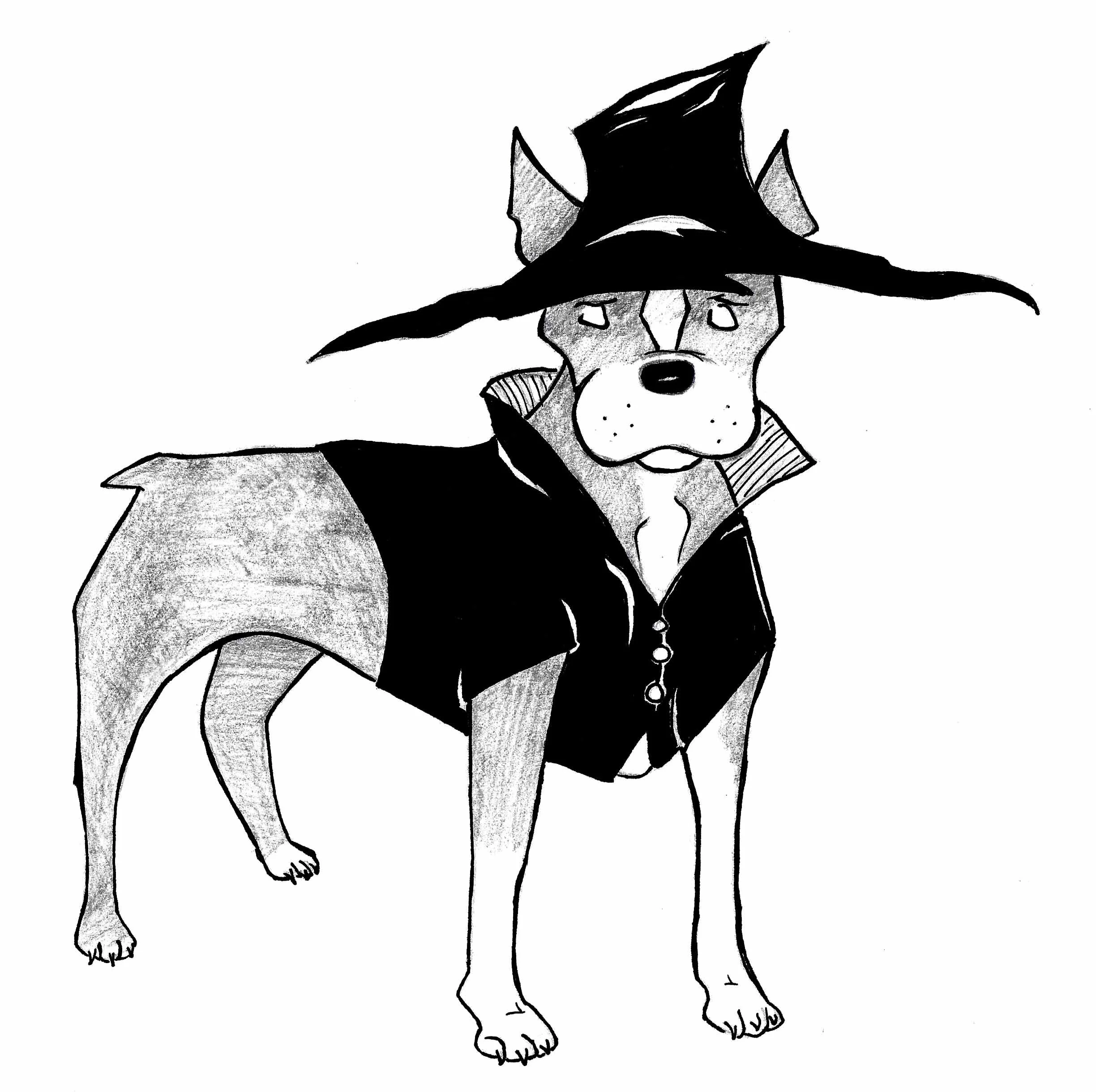 full body zander.jpg