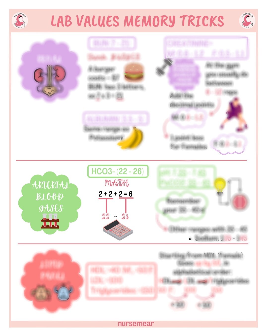 2BEE84D9-5E0B-428E-A209-176B79761294.jpeg