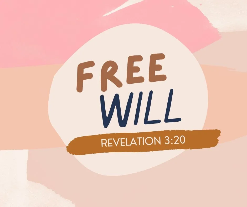 Free Will