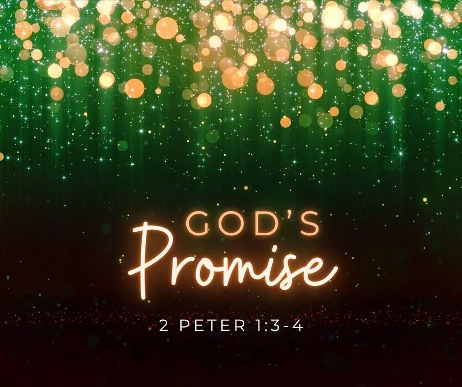 God’s Promise