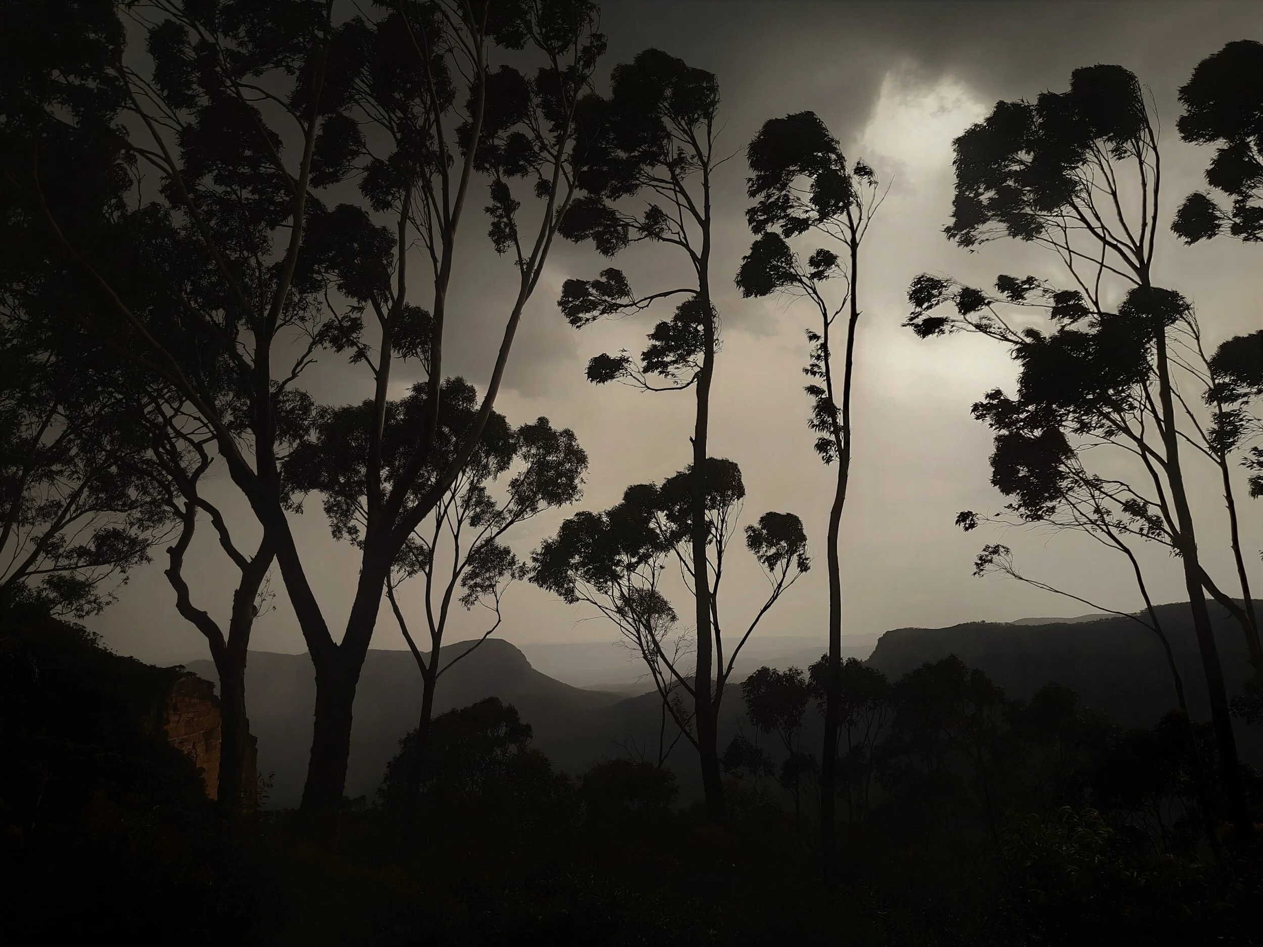 Blue Mountains National Park NSW