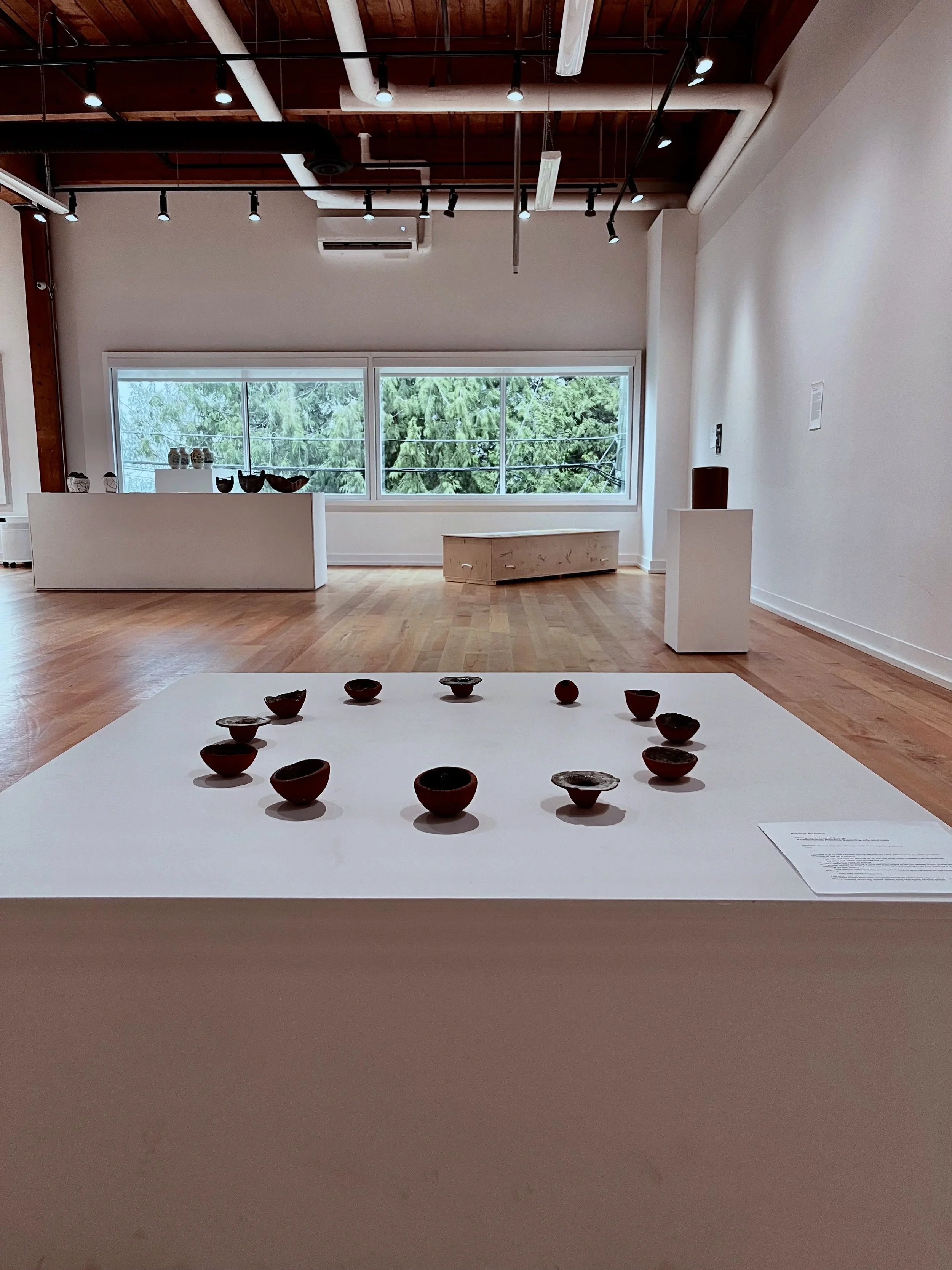 Giving as a Way of Being: A Ceremonial Practice Exploring Life and Loss, Earth Bodies Exhibition (Qathet, Canada)