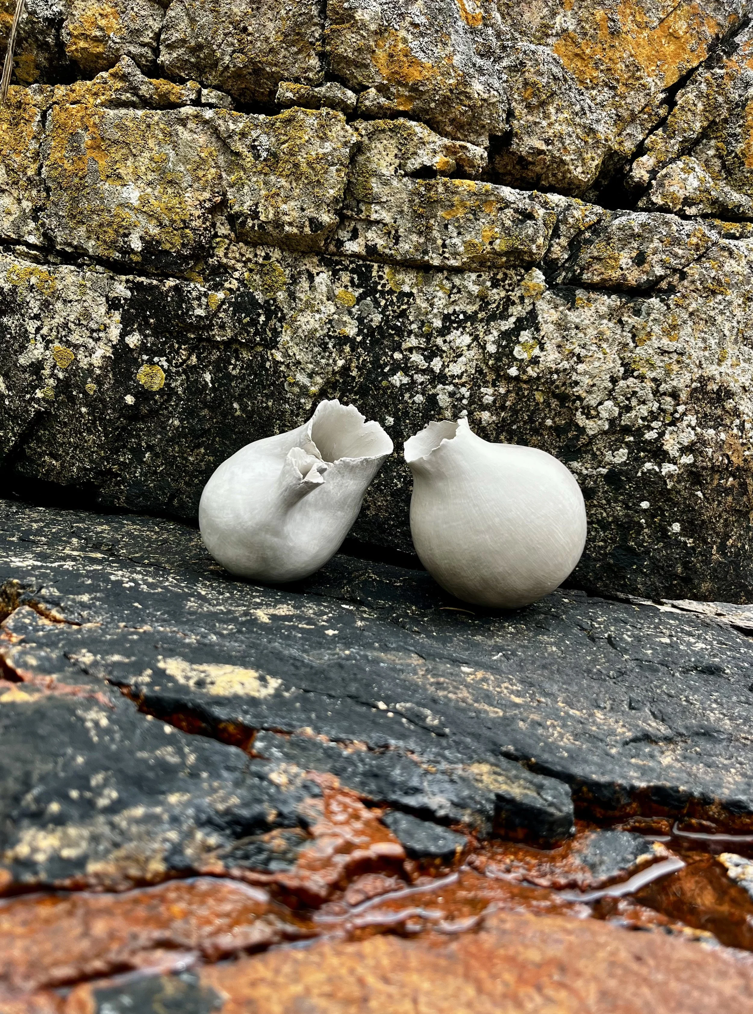 A Beautiful Question, Tidal Art Centre Residency (Qathet, Canada)
