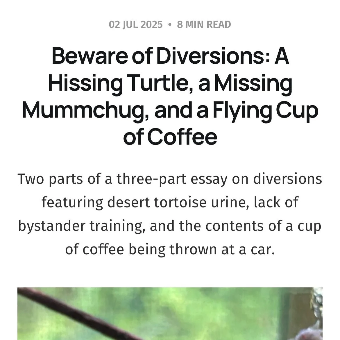 Rough draft of two parts of a three-part essay on diversions featuring desert tortoise urine, lack of bystander training, and the contents of a cup of coffee being thrown at a car. Plus a playlist 4 U featuring the song of the summer, you think I am 