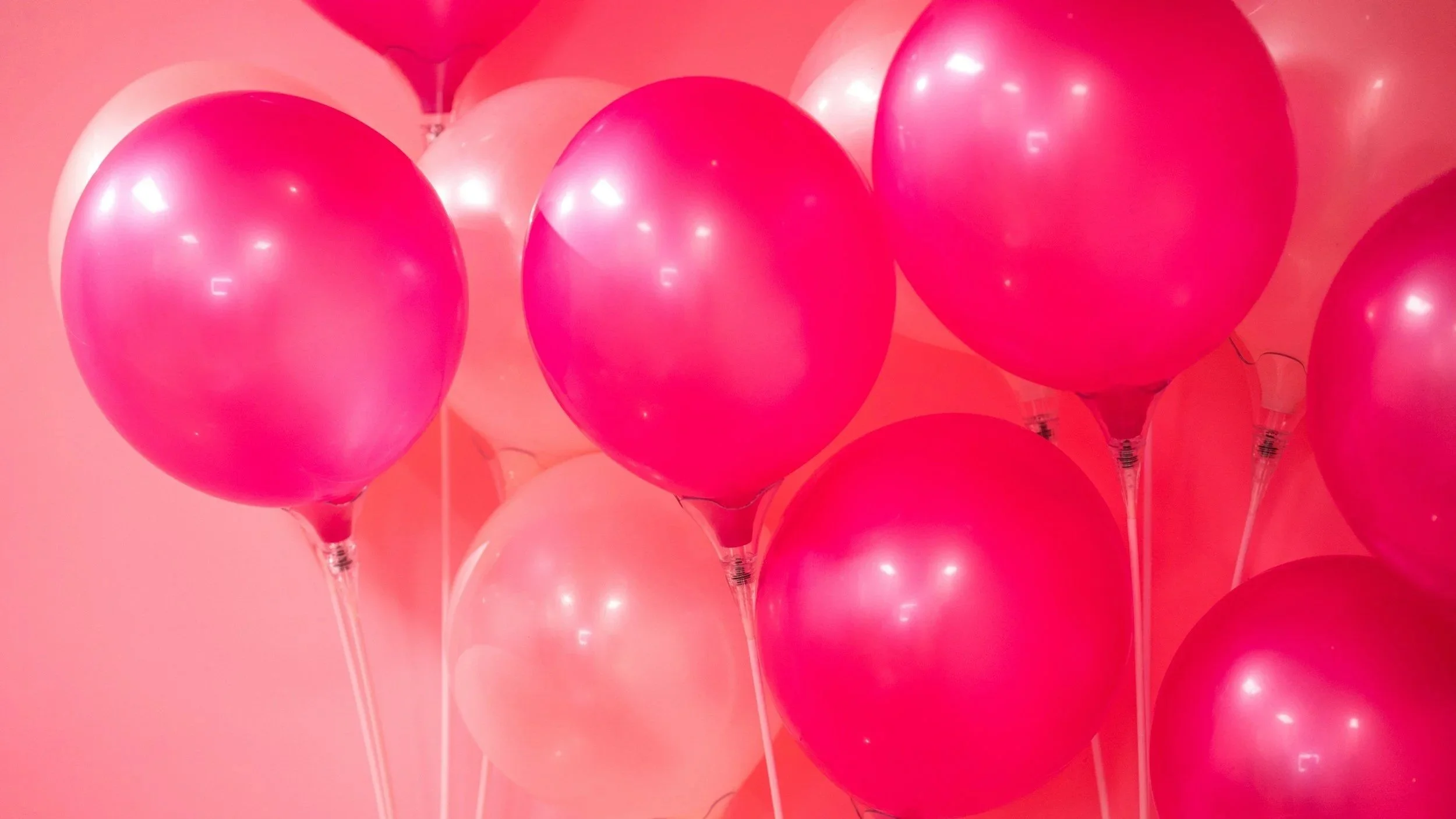 Pepper's Playhouse & Party Rentals