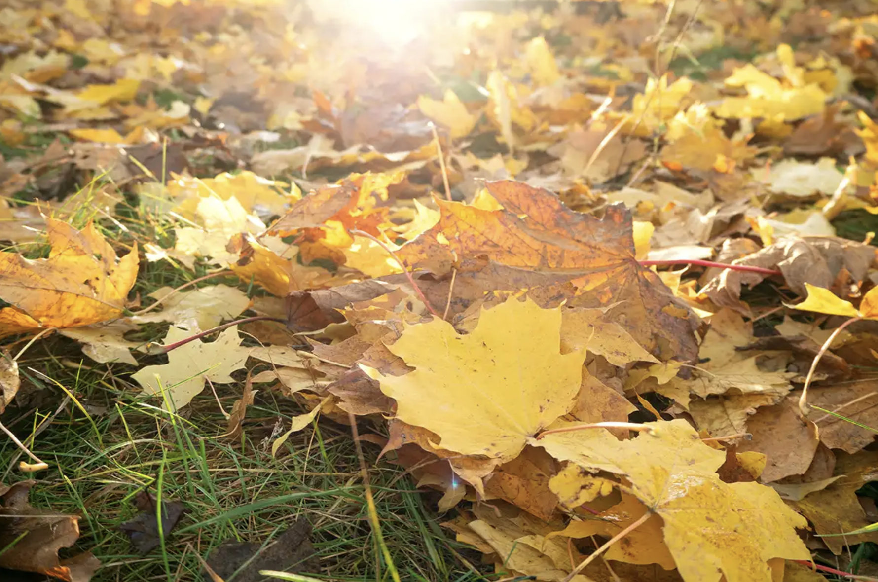 Screenshot 2024-12-09 at 10.31.52 PM.png