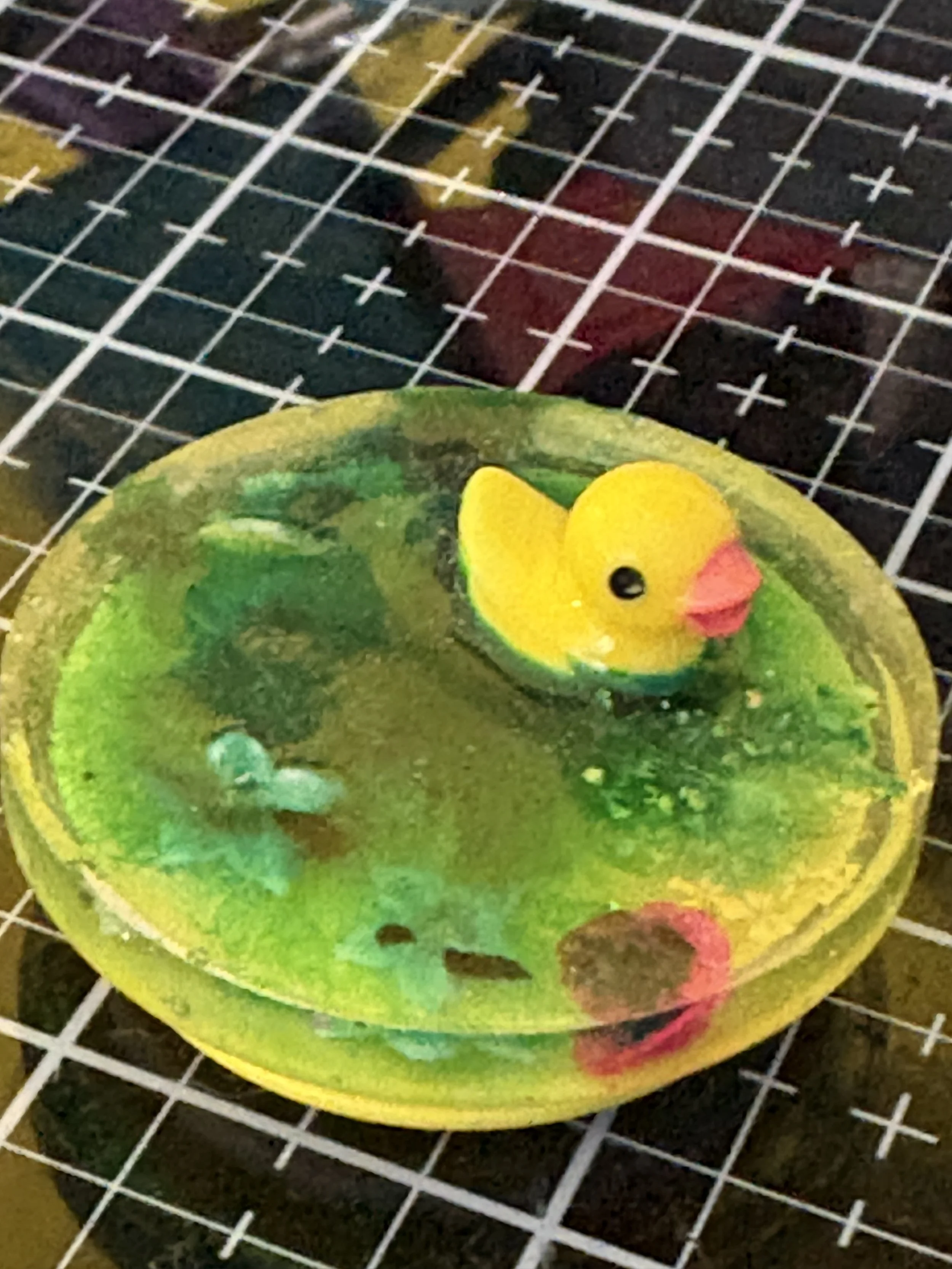 Duck Life Pop Socket