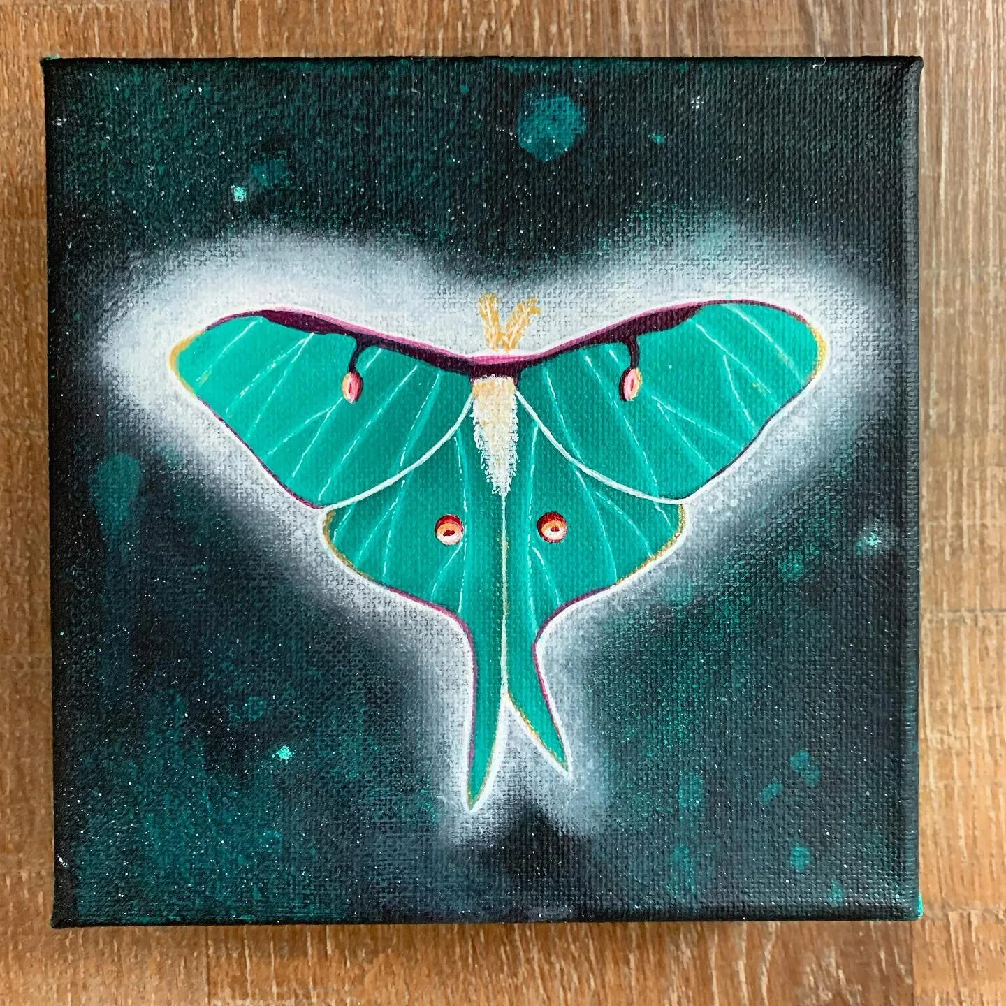 Here’s a closer look at my Luna Moth painting! 
I’ve been working my ass off trying to get enough paintings done to do another calendar for next year and also have a new little series in the works! 
#lunarmoth #finishedartwork #lunarmoth